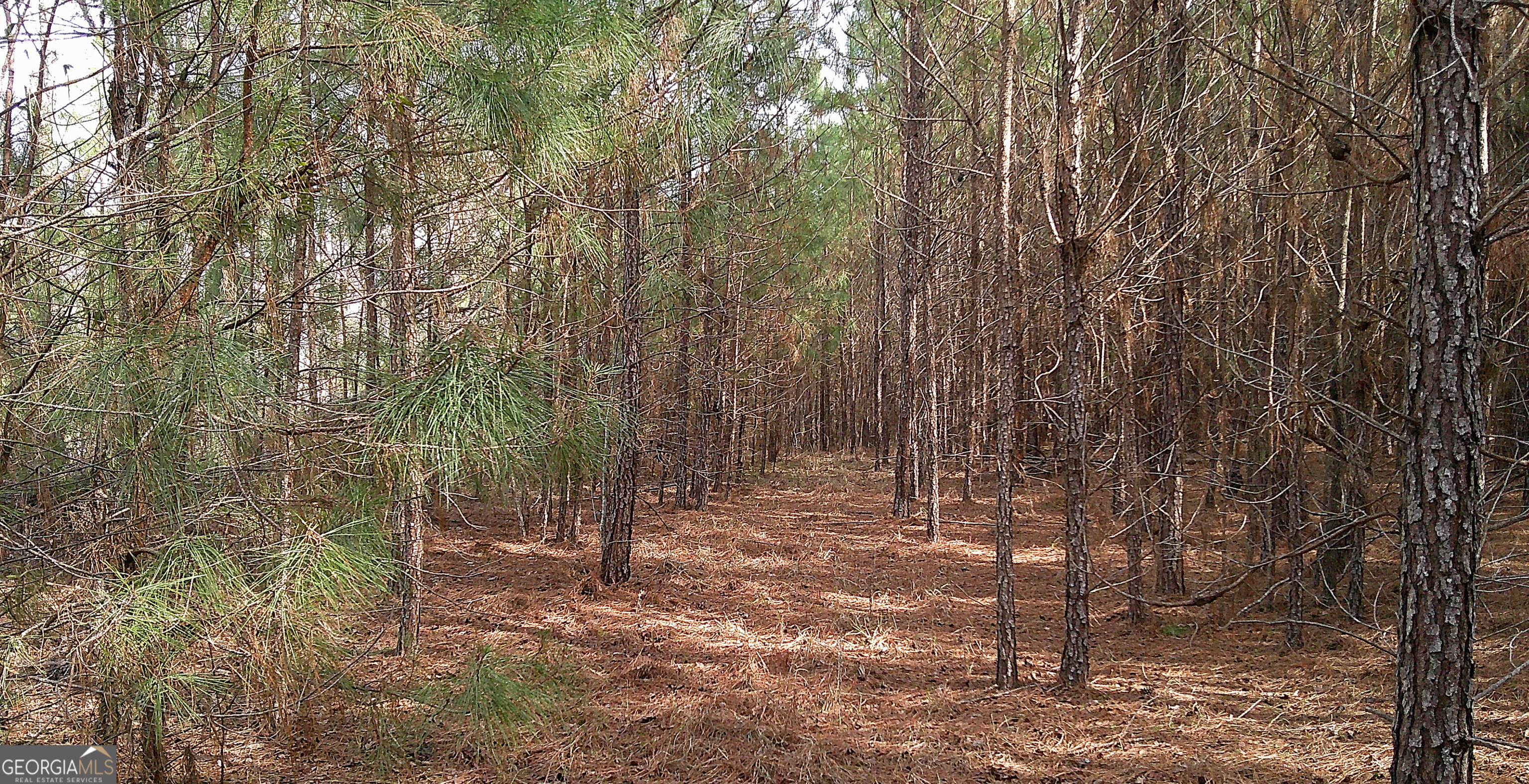 35 Barwick Kea Road Adrian, GA 31002 - Photo 29 of 73