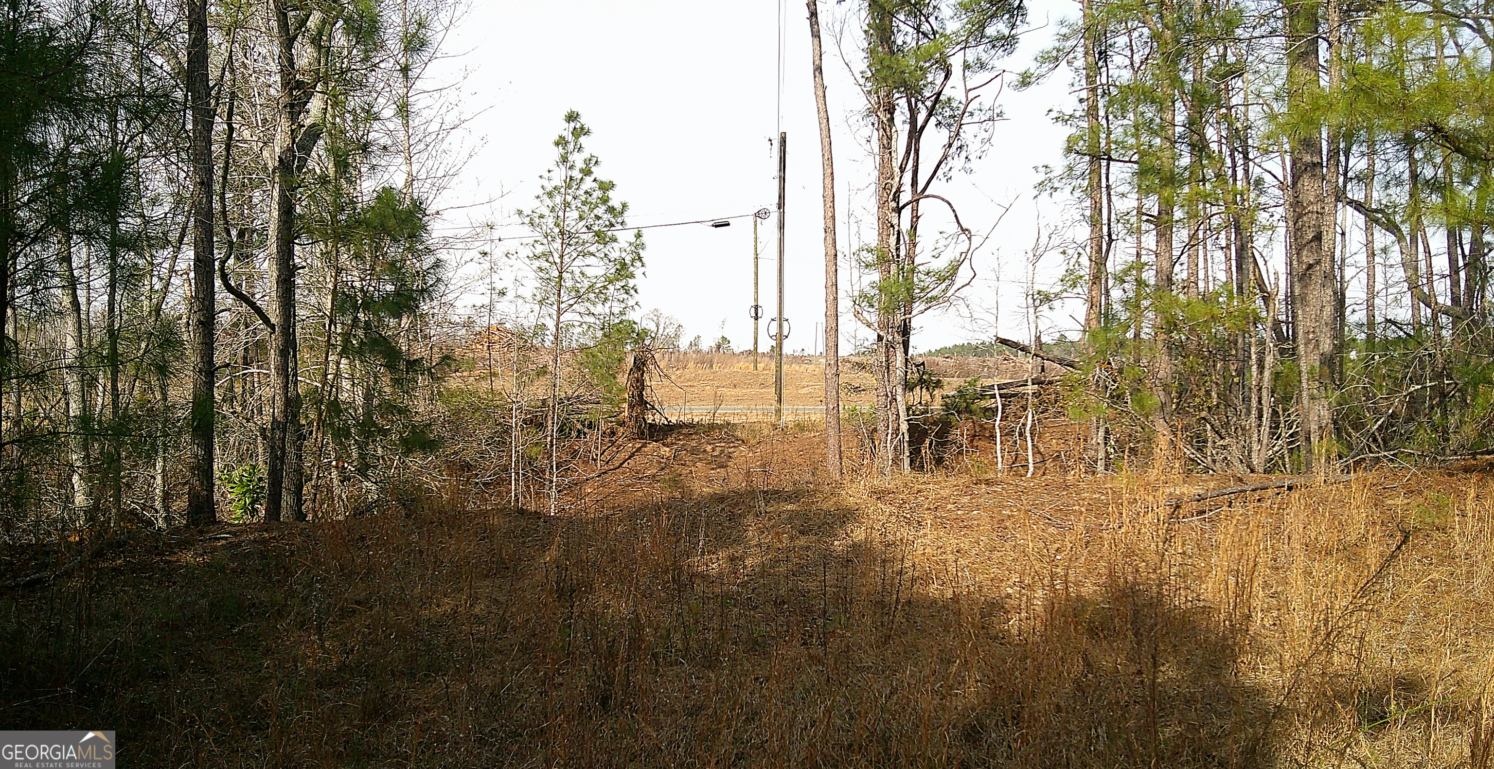 35 Barwick Kea Road Adrian, GA 31002 - Photo 30 of 73