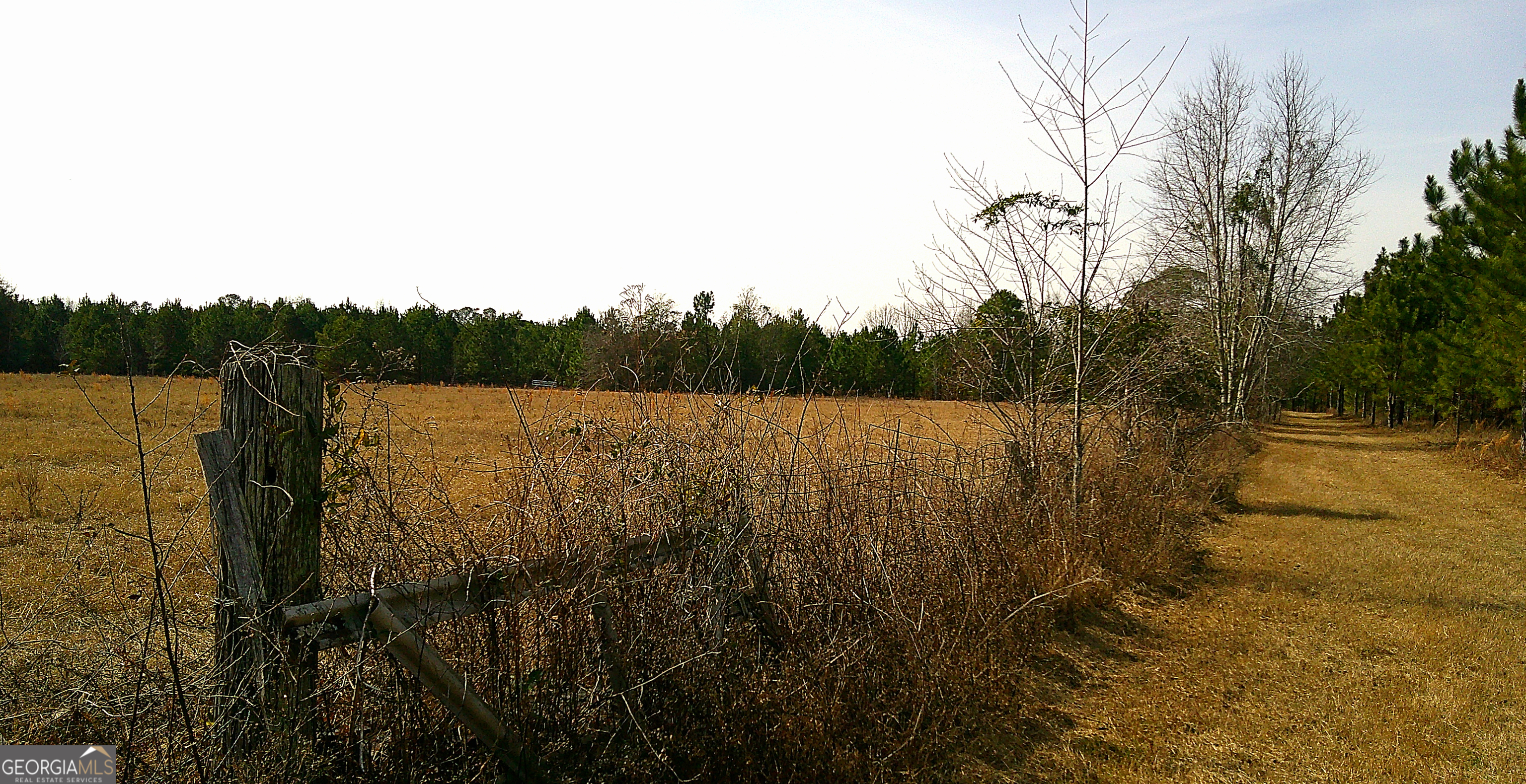 35 Barwick Kea Road Adrian, GA 31002 - Photo 3 of 73