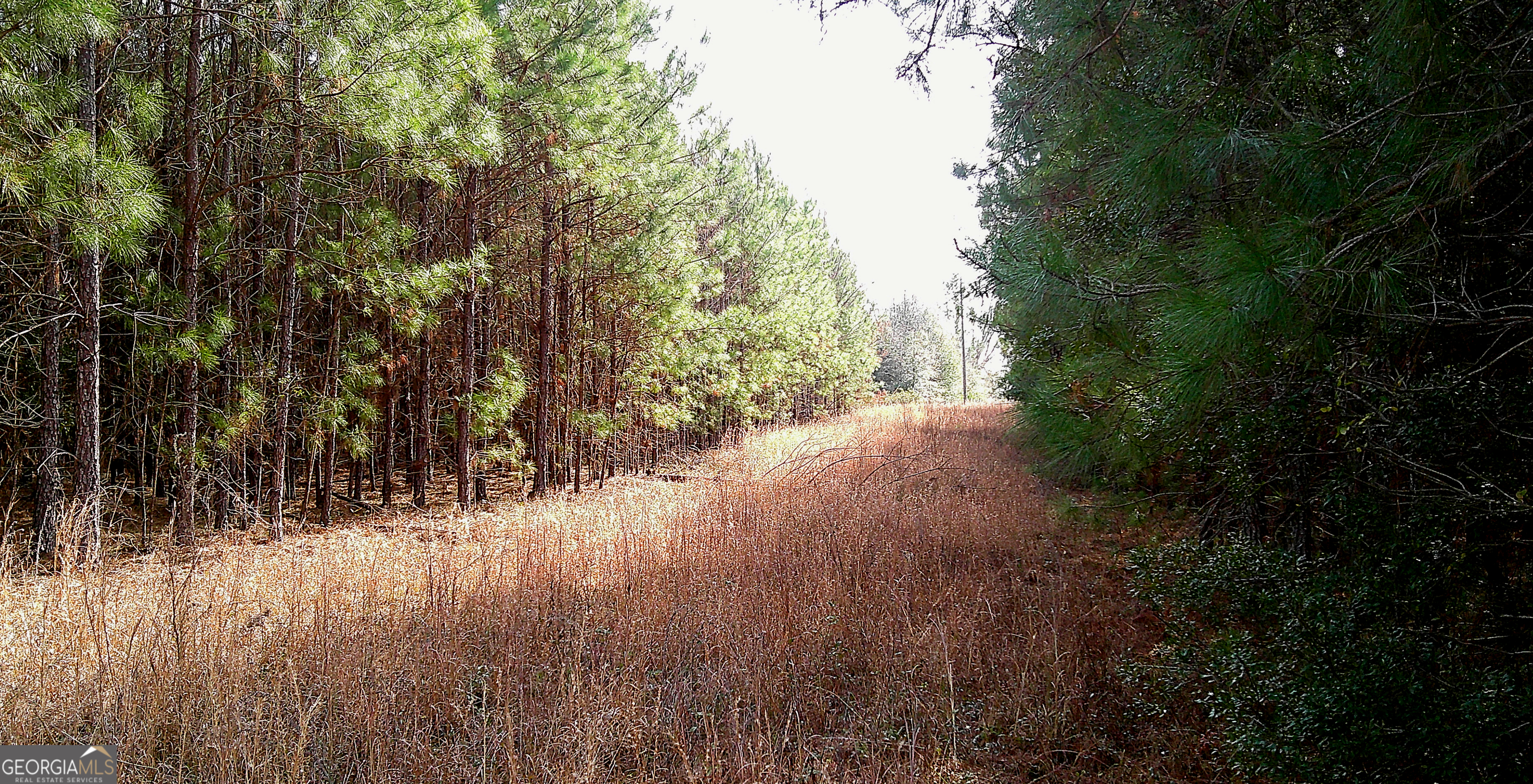 35 Barwick Kea Road Adrian, GA 31002 - Photo 31 of 73