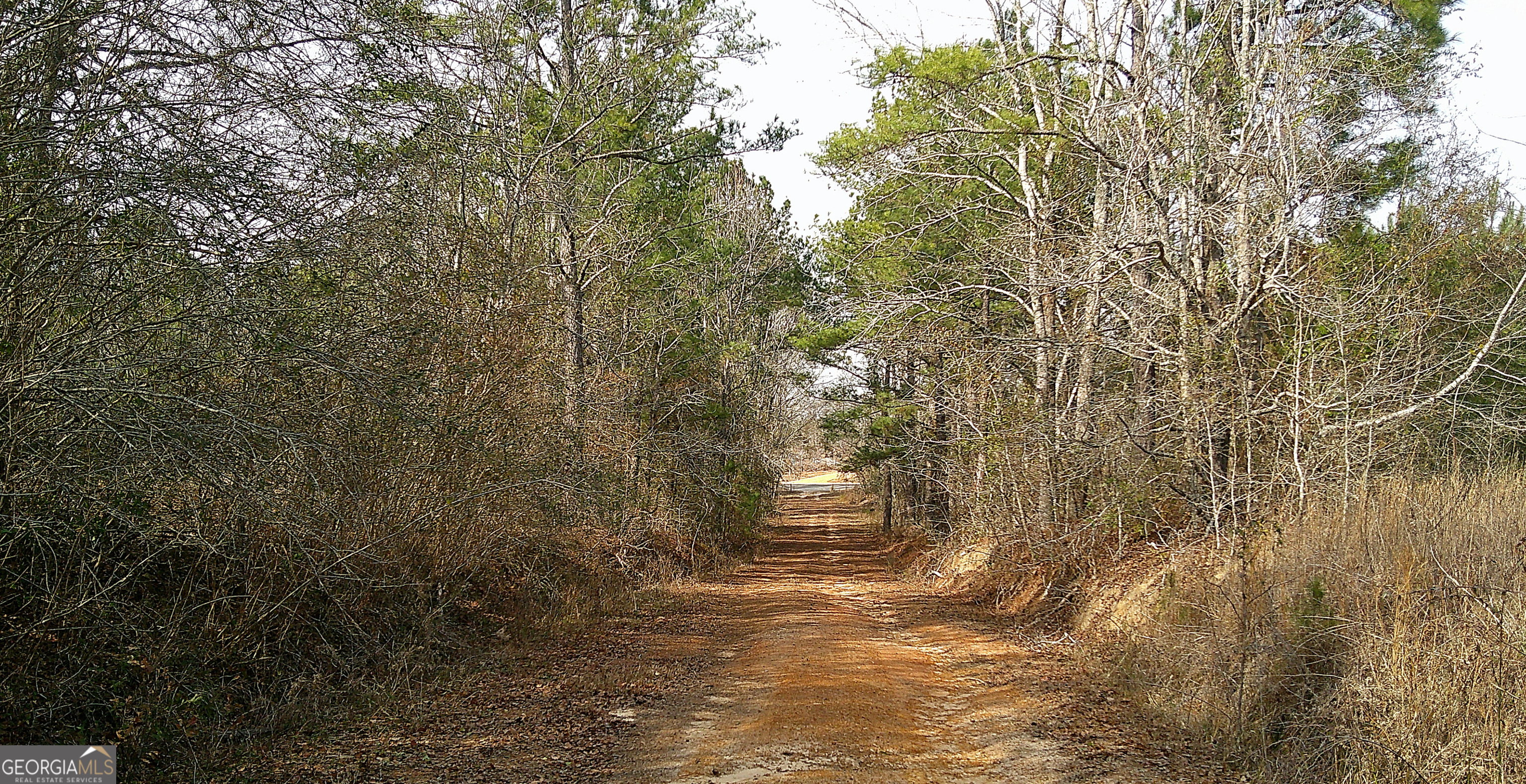 35 Barwick Kea Road Adrian, GA 31002 - Photo 32 of 73