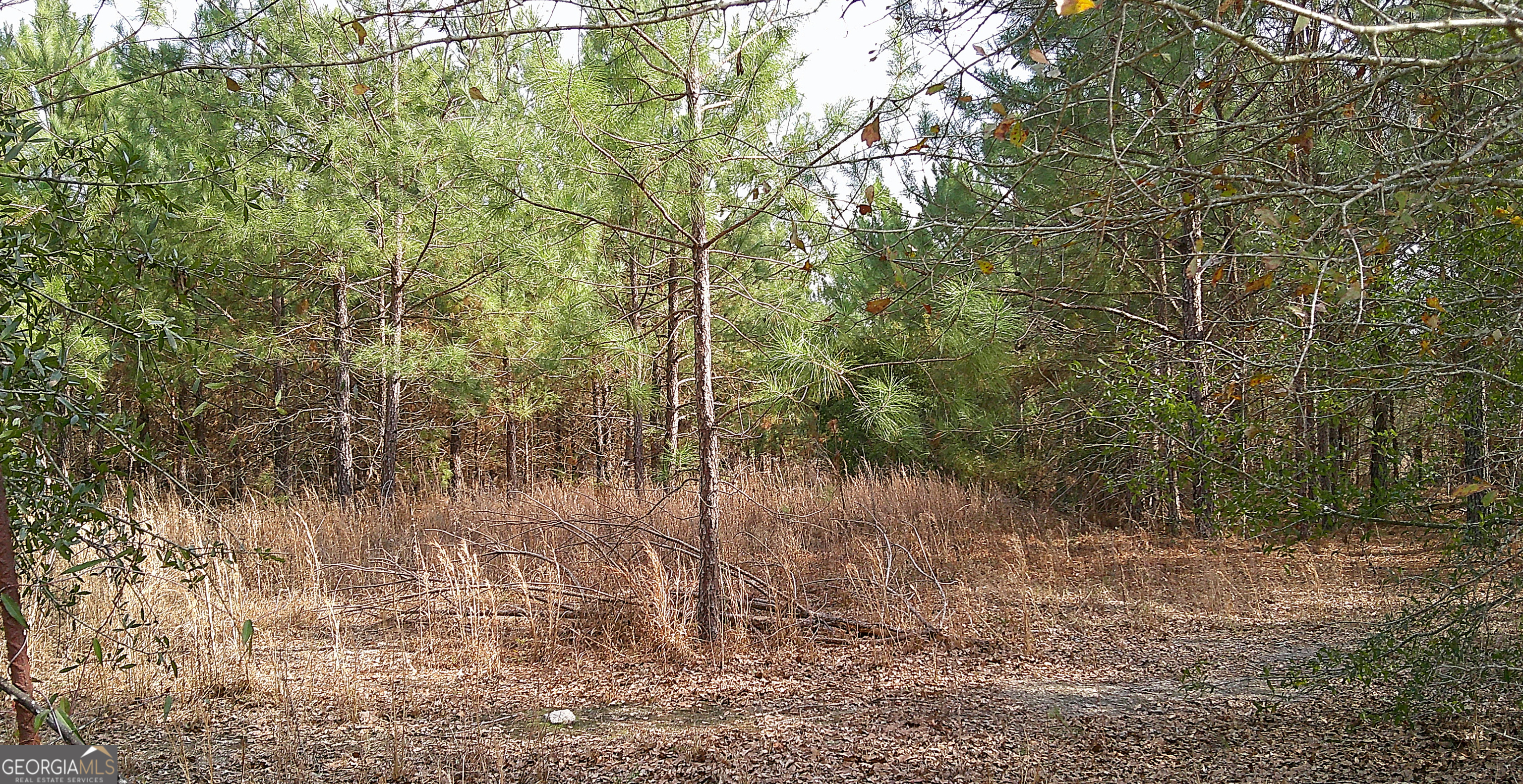 35 Barwick Kea Road Adrian, GA 31002 - Photo 33 of 73