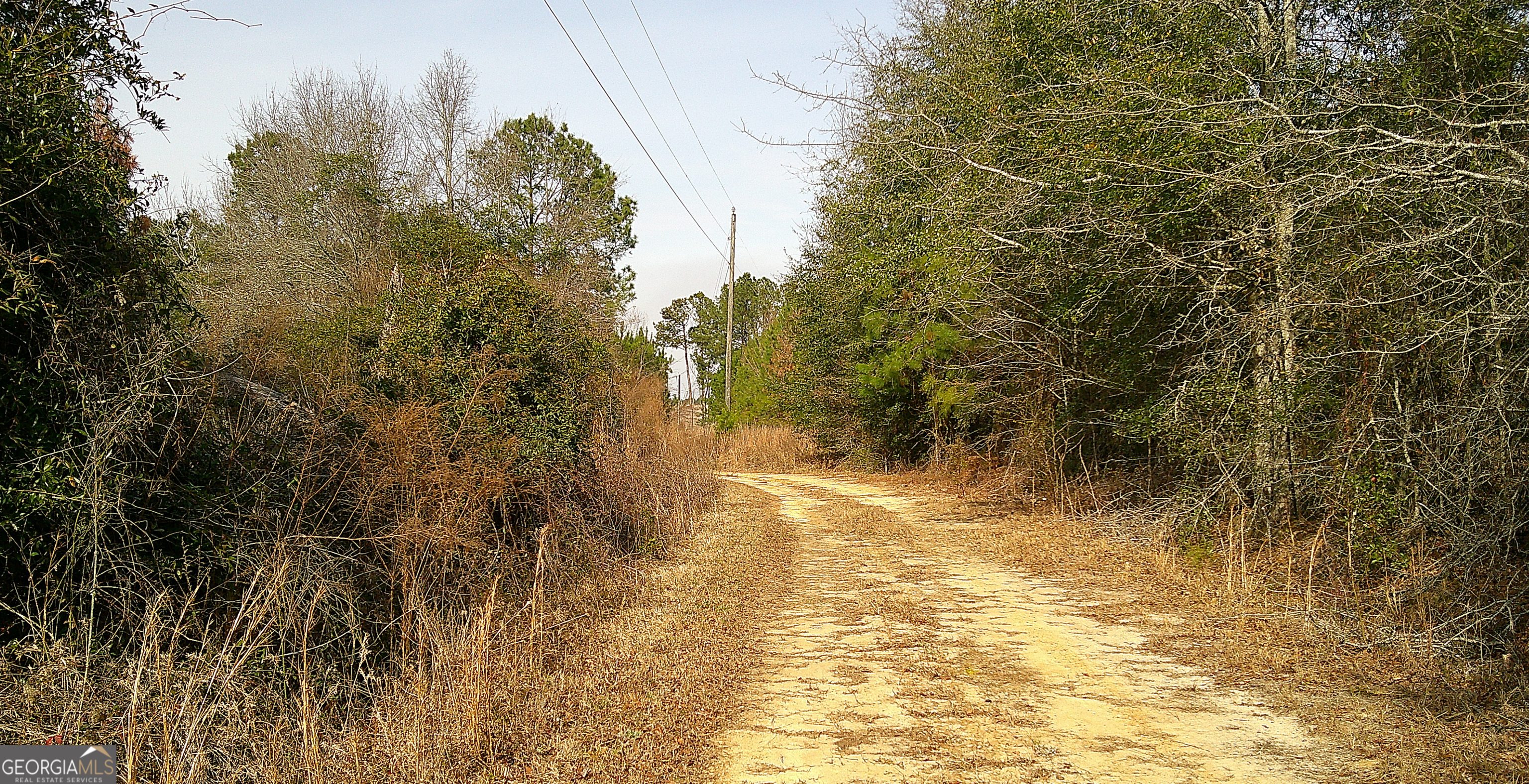 35 Barwick Kea Road Adrian, GA 31002 - Photo 34 of 73