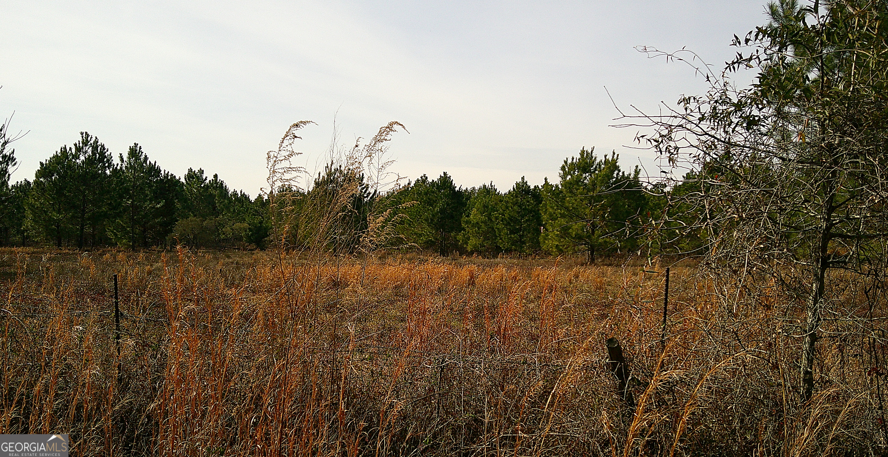 35 Barwick Kea Road Adrian, GA 31002 - Photo 35 of 73