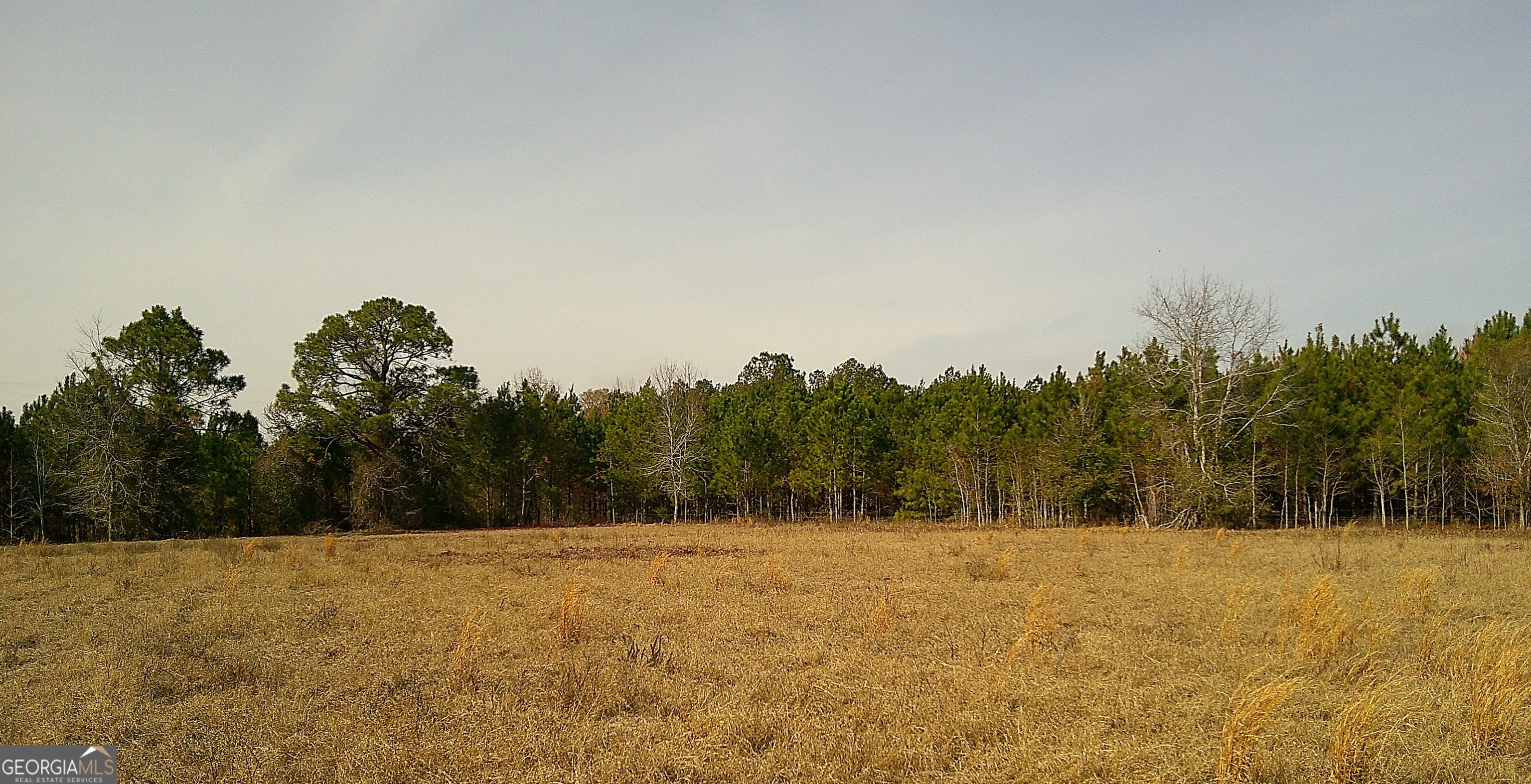 35 Barwick Kea Road Adrian, GA 31002 - Photo 43 of 73