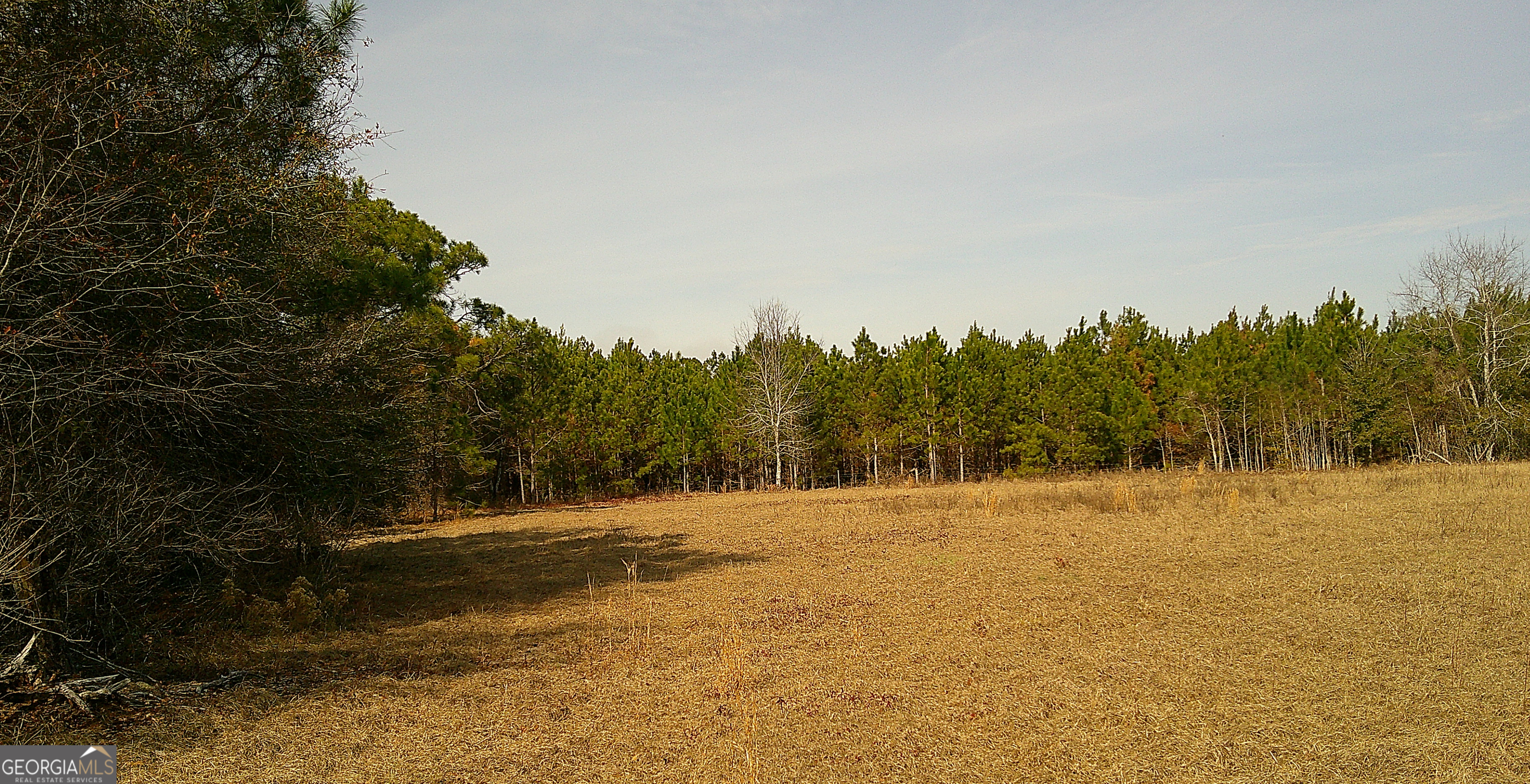 35 Barwick Kea Road Adrian, GA 31002 - Photo 44 of 73