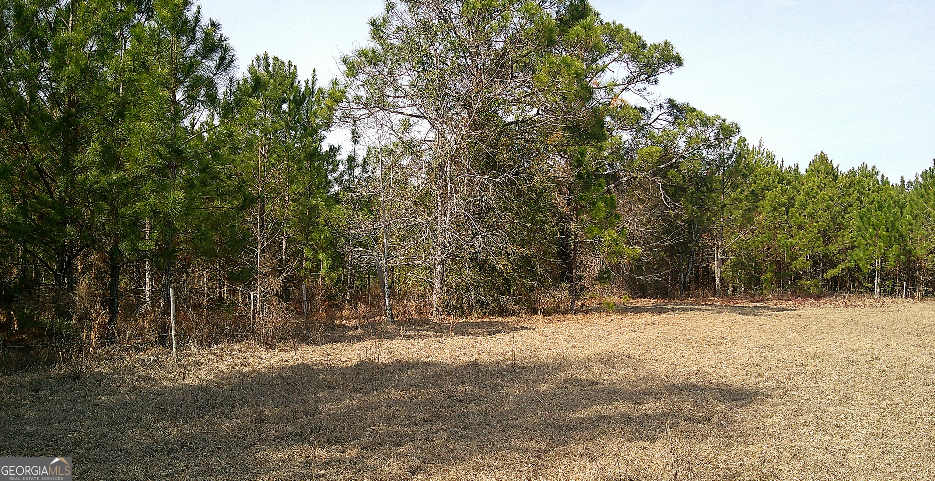 35 Barwick Kea Road Adrian, GA 31002 - Photo 46 of 73