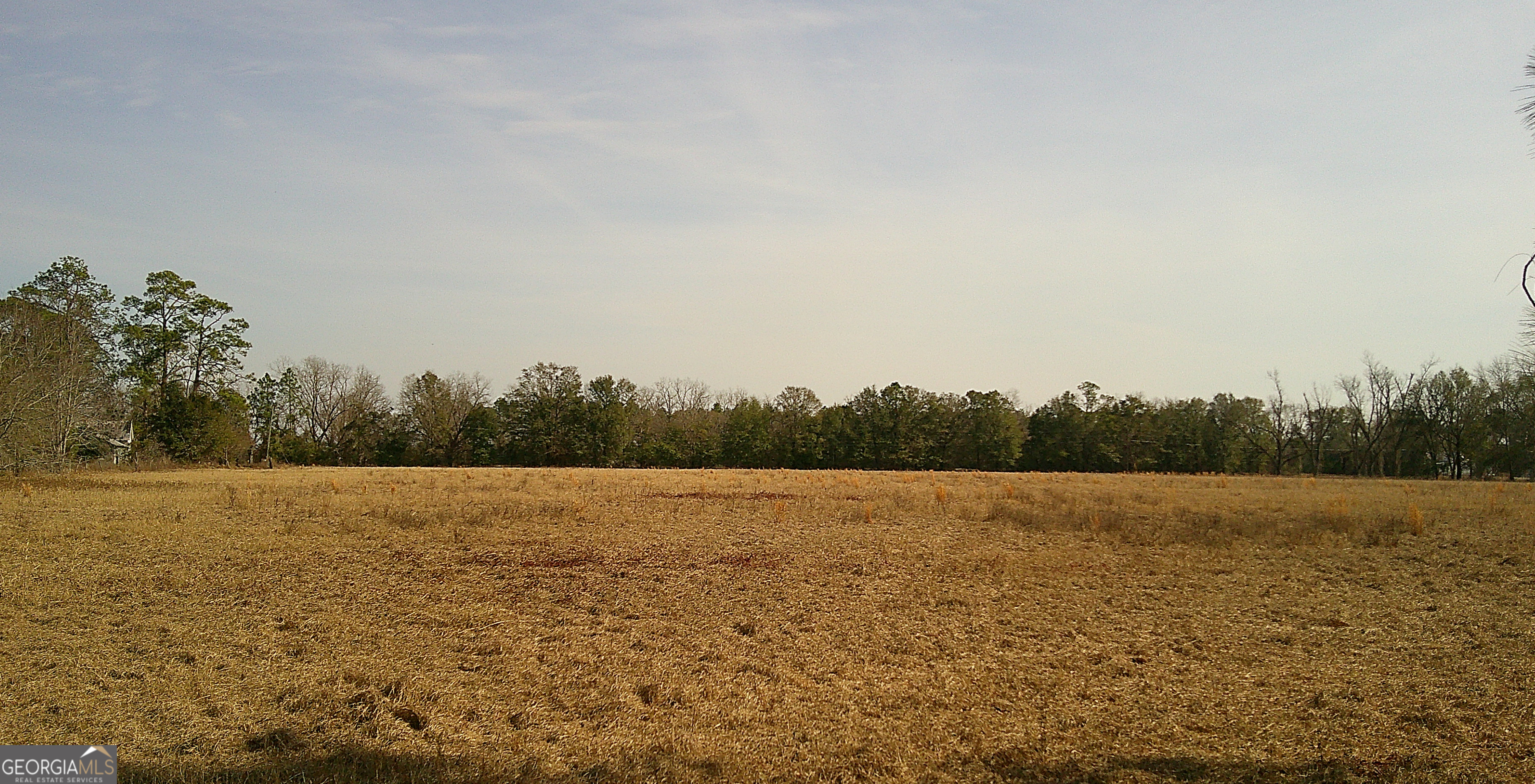 35 Barwick Kea Road Adrian, GA 31002 - Photo 47 of 73