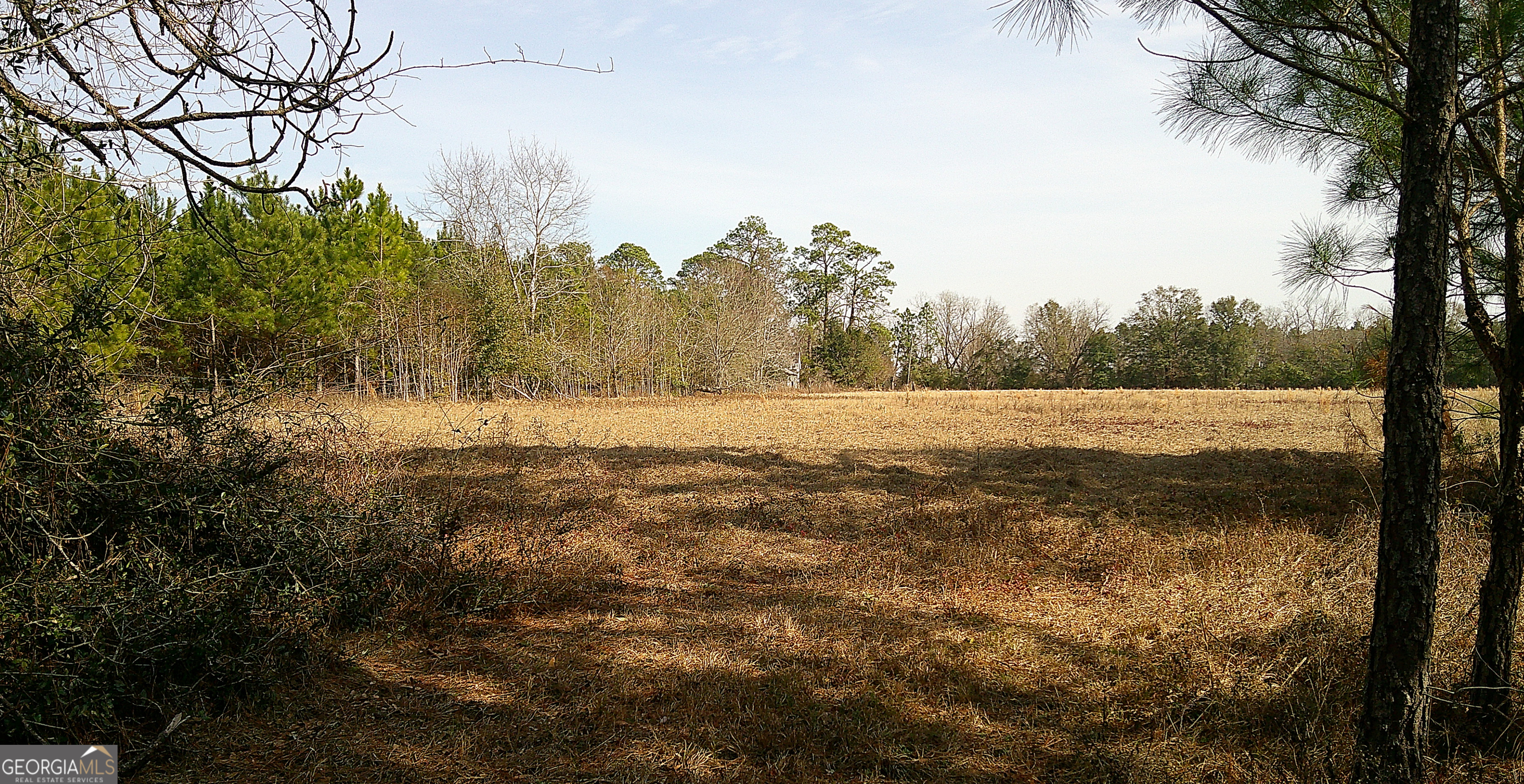 35 Barwick Kea Road Adrian, GA 31002 - Photo 48 of 73