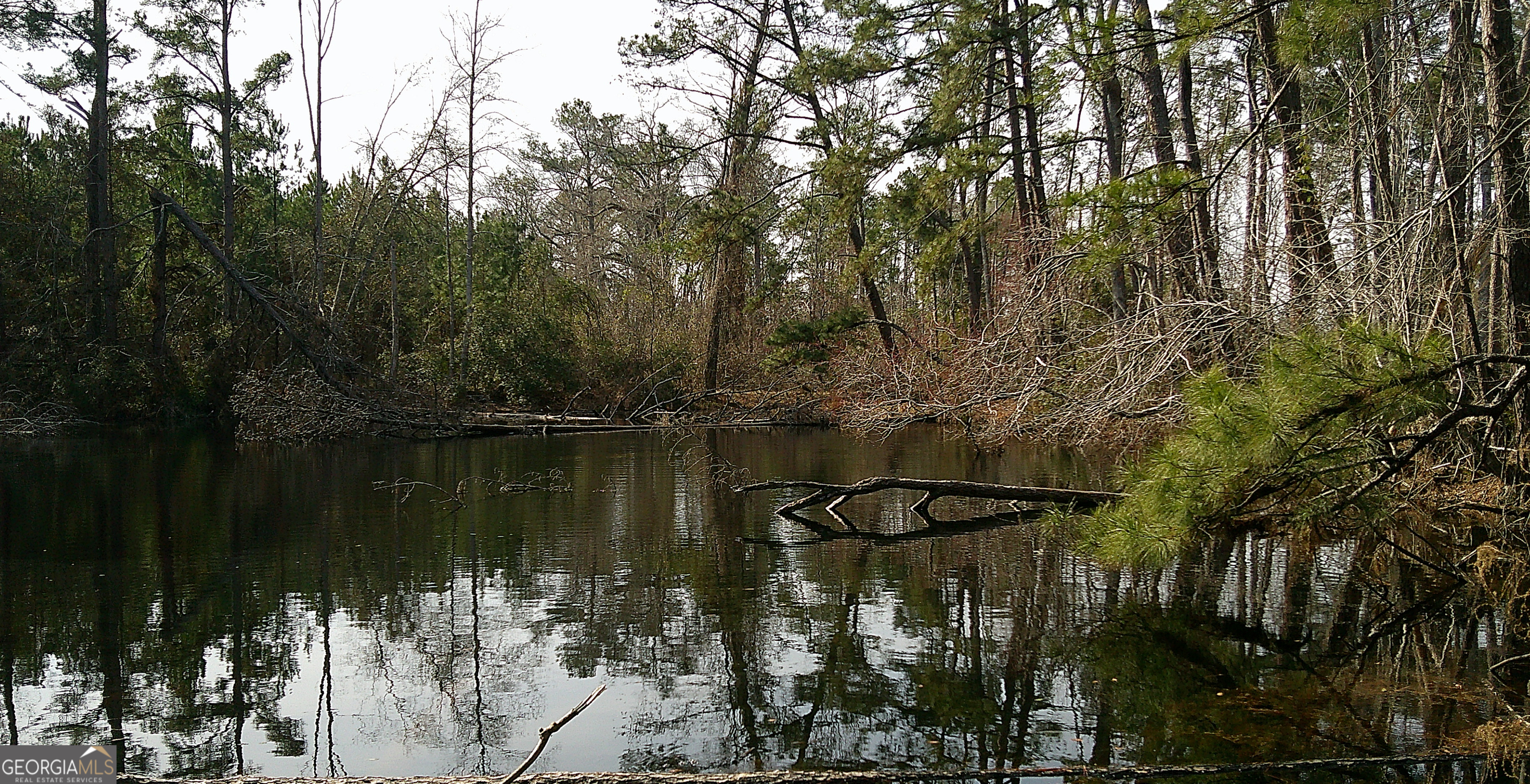 35 Barwick Kea Road Adrian, GA 31002 - Photo 49 of 73