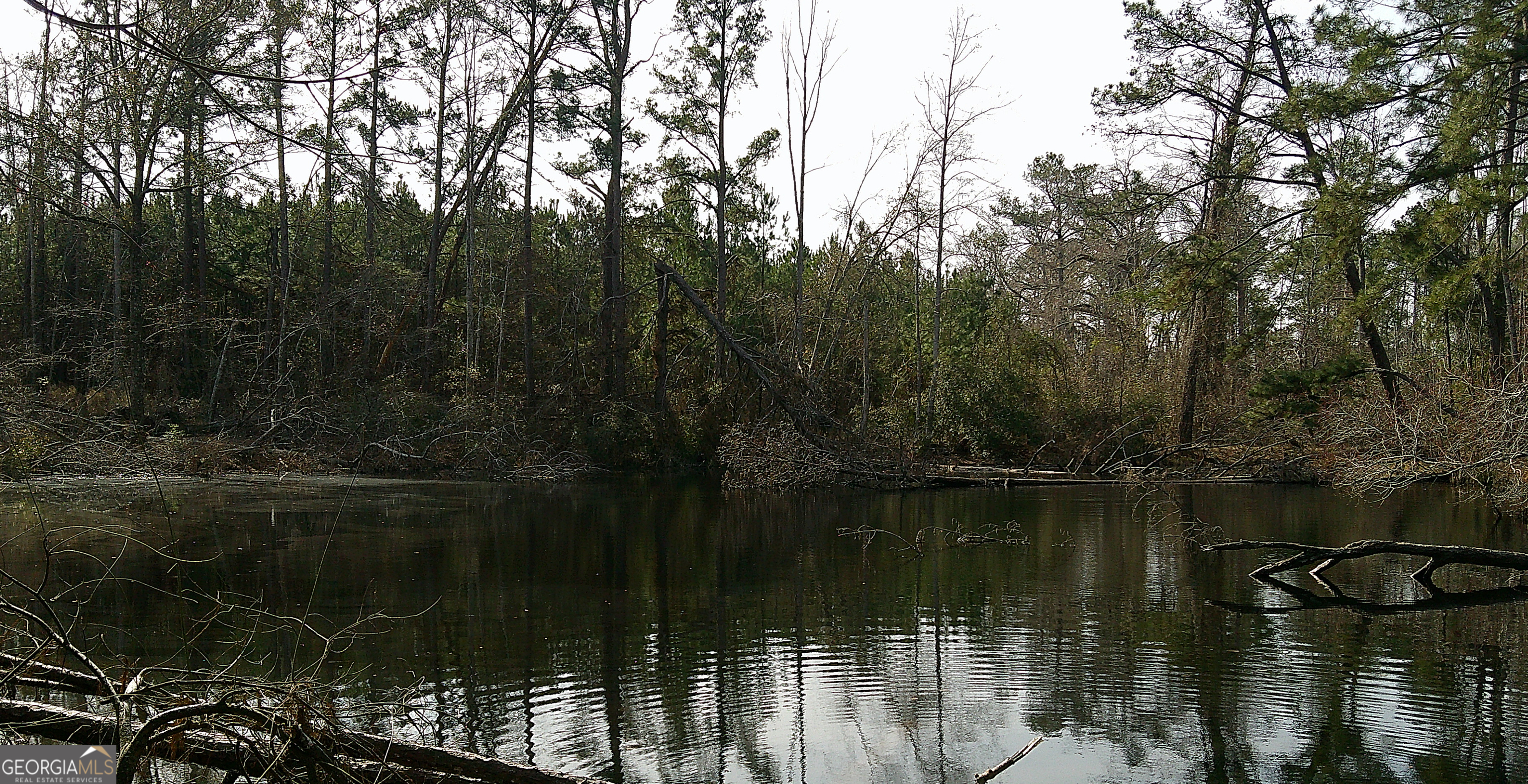 35 Barwick Kea Road Adrian, GA 31002 - Photo 50 of 73