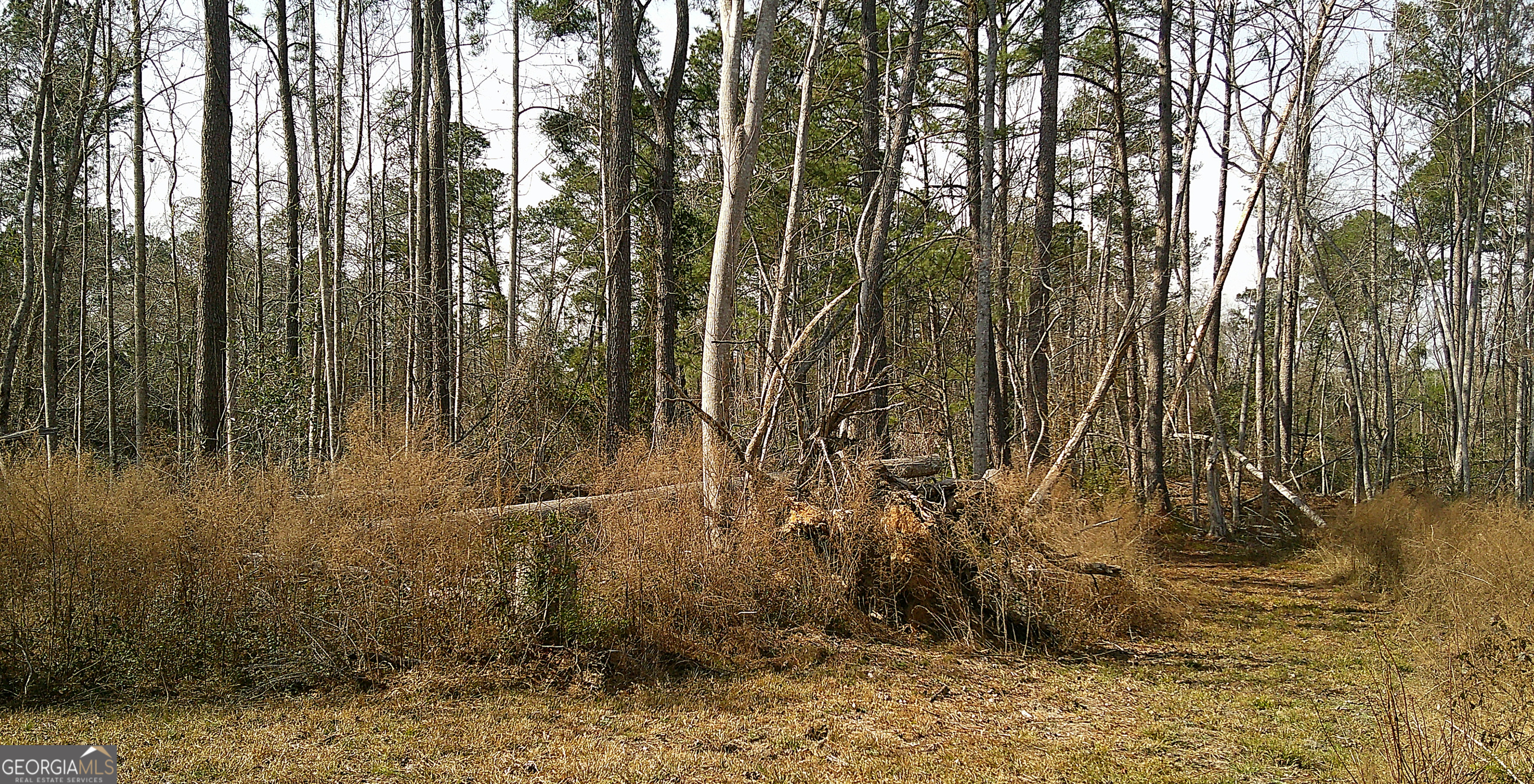 35 Barwick Kea Road Adrian, GA 31002 - Photo 51 of 73