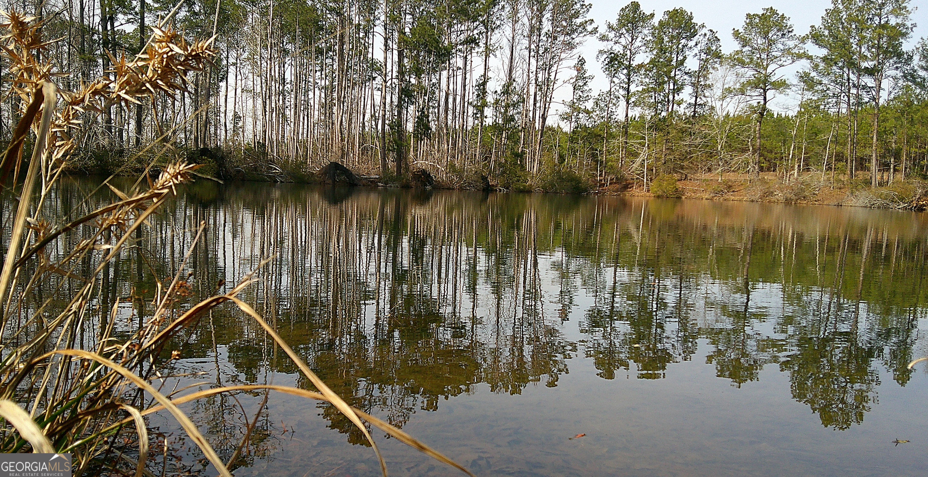 35 Barwick Kea Road Adrian, GA 31002 - Photo 54 of 73