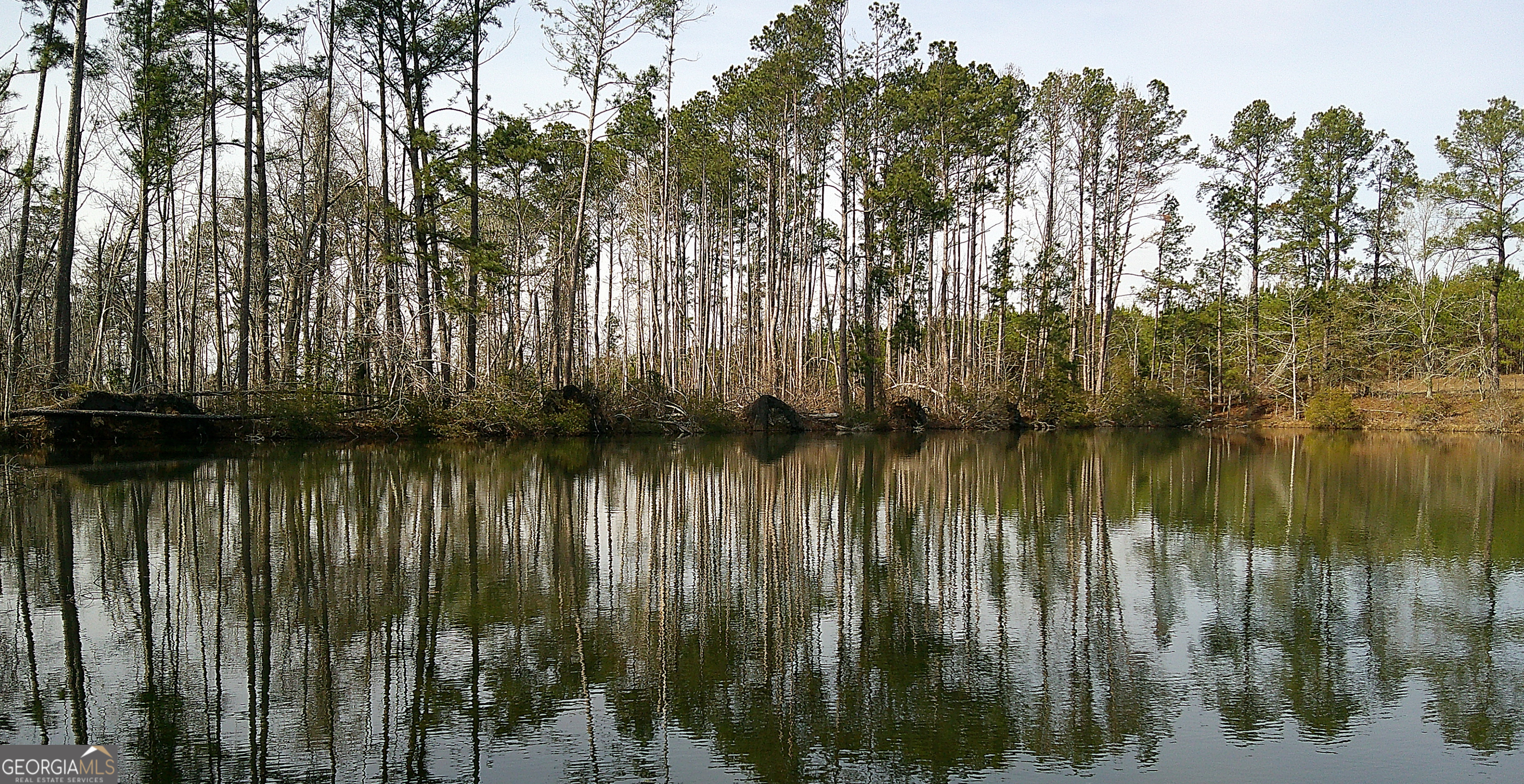 35 Barwick Kea Road Adrian, GA 31002 - Photo 55 of 73