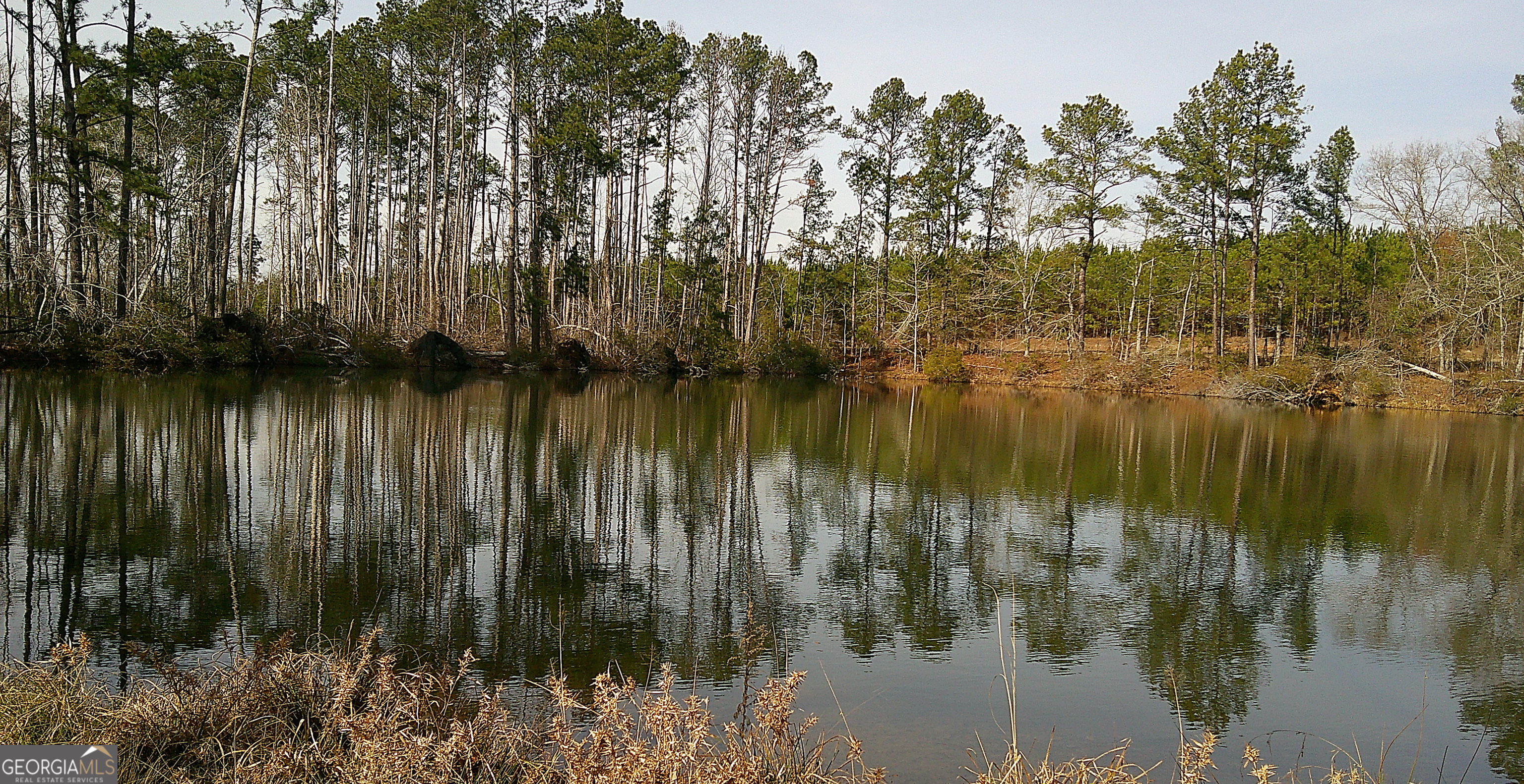 35 Barwick Kea Road Adrian, GA 31002 - Photo 56 of 73
