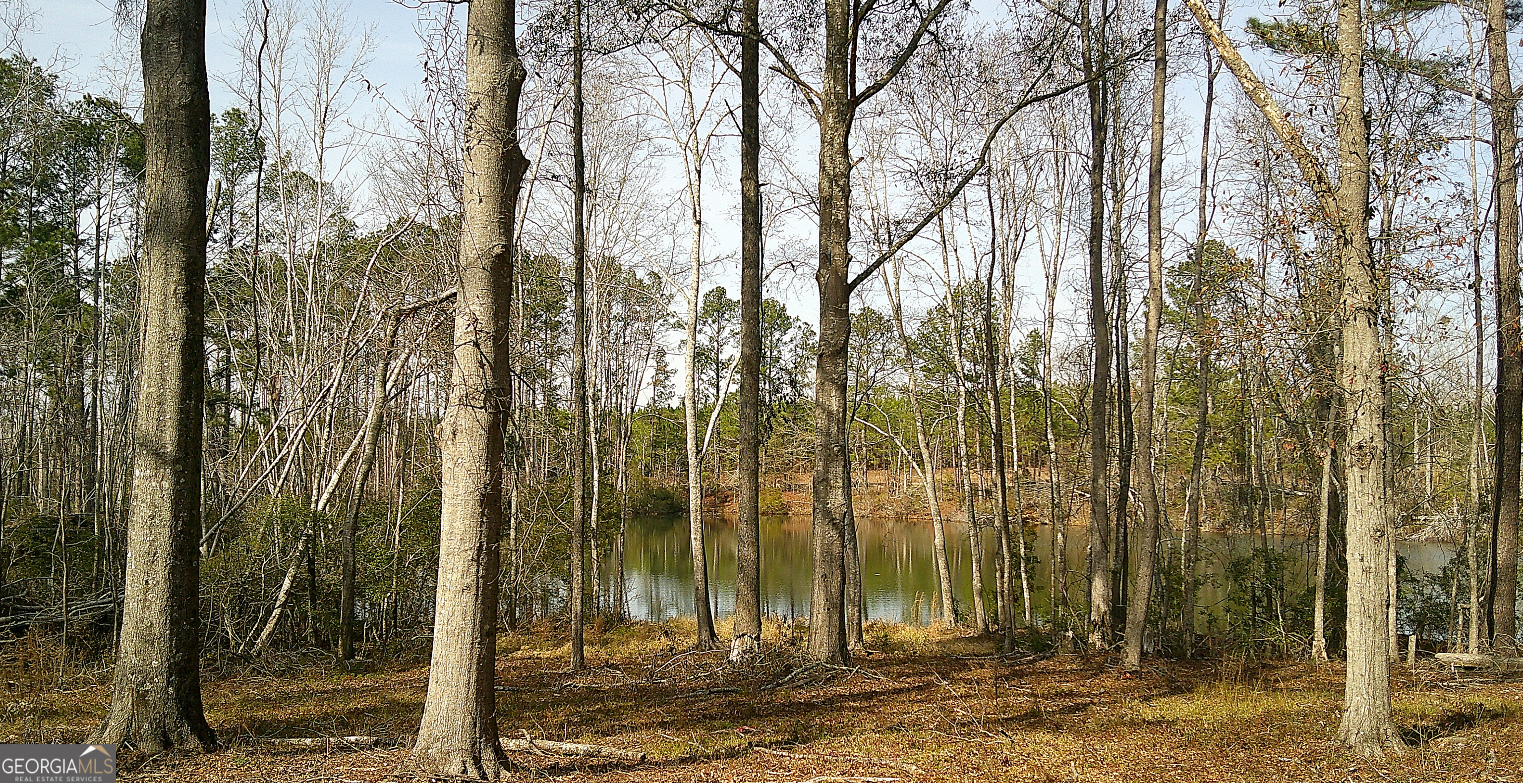 35 Barwick Kea Road Adrian, GA 31002 - Photo 57 of 73