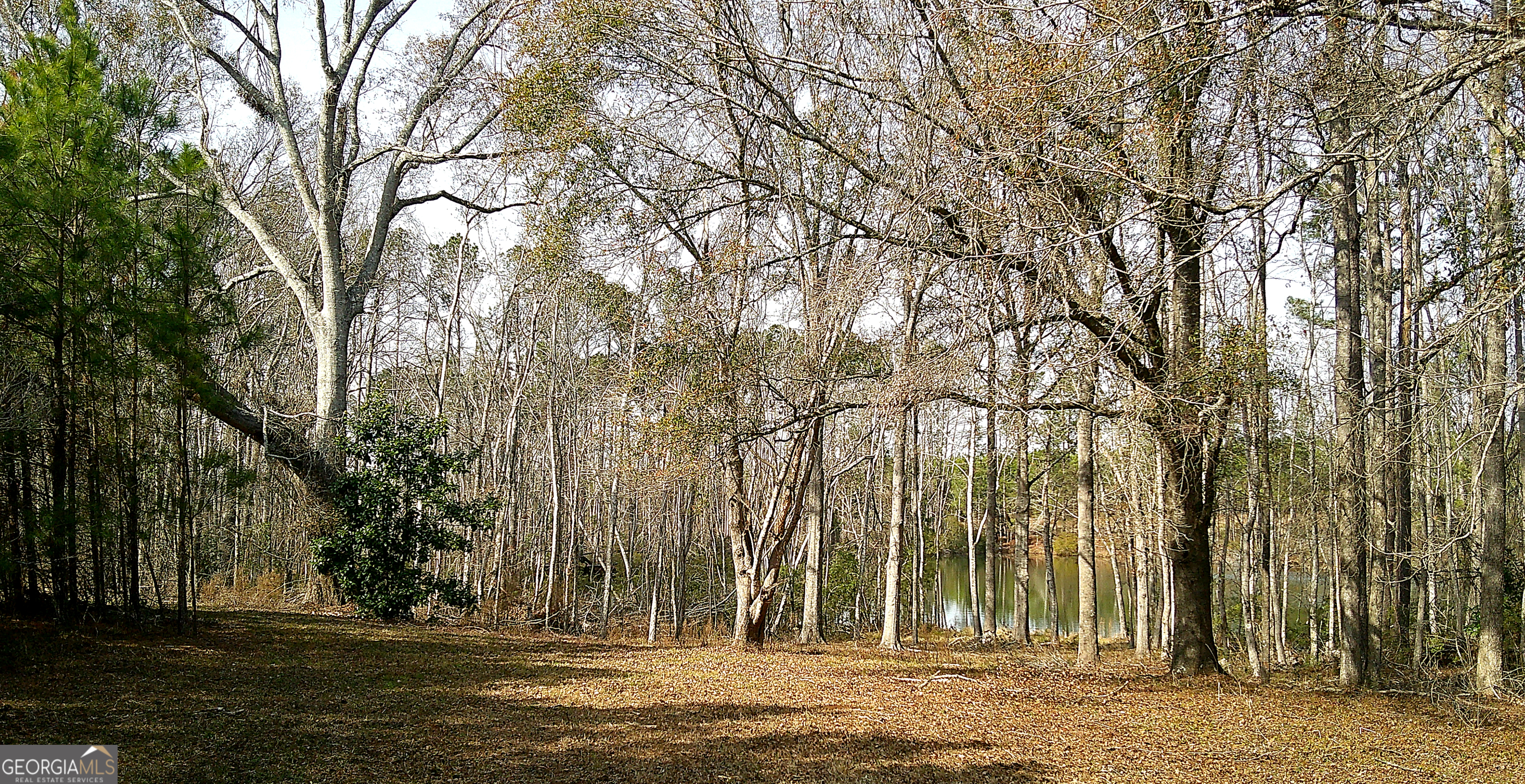 35 Barwick Kea Road Adrian, GA 31002 - Photo 58 of 73