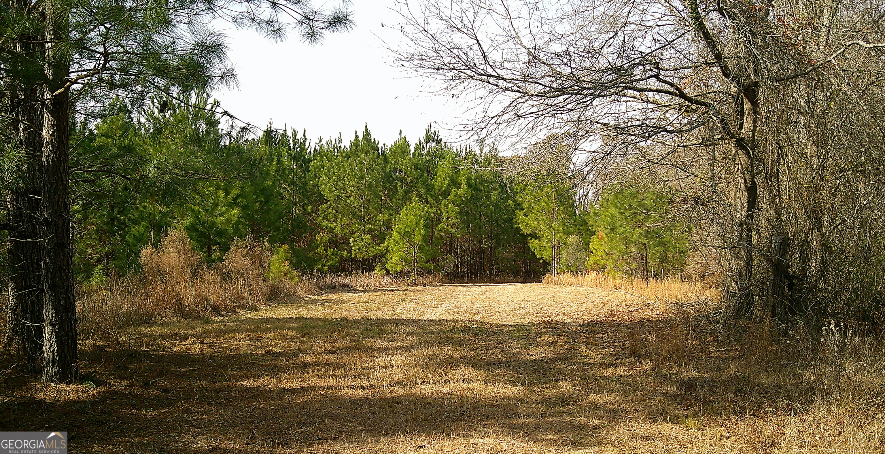 35 Barwick Kea Road Adrian, GA 31002 - Photo 59 of 73