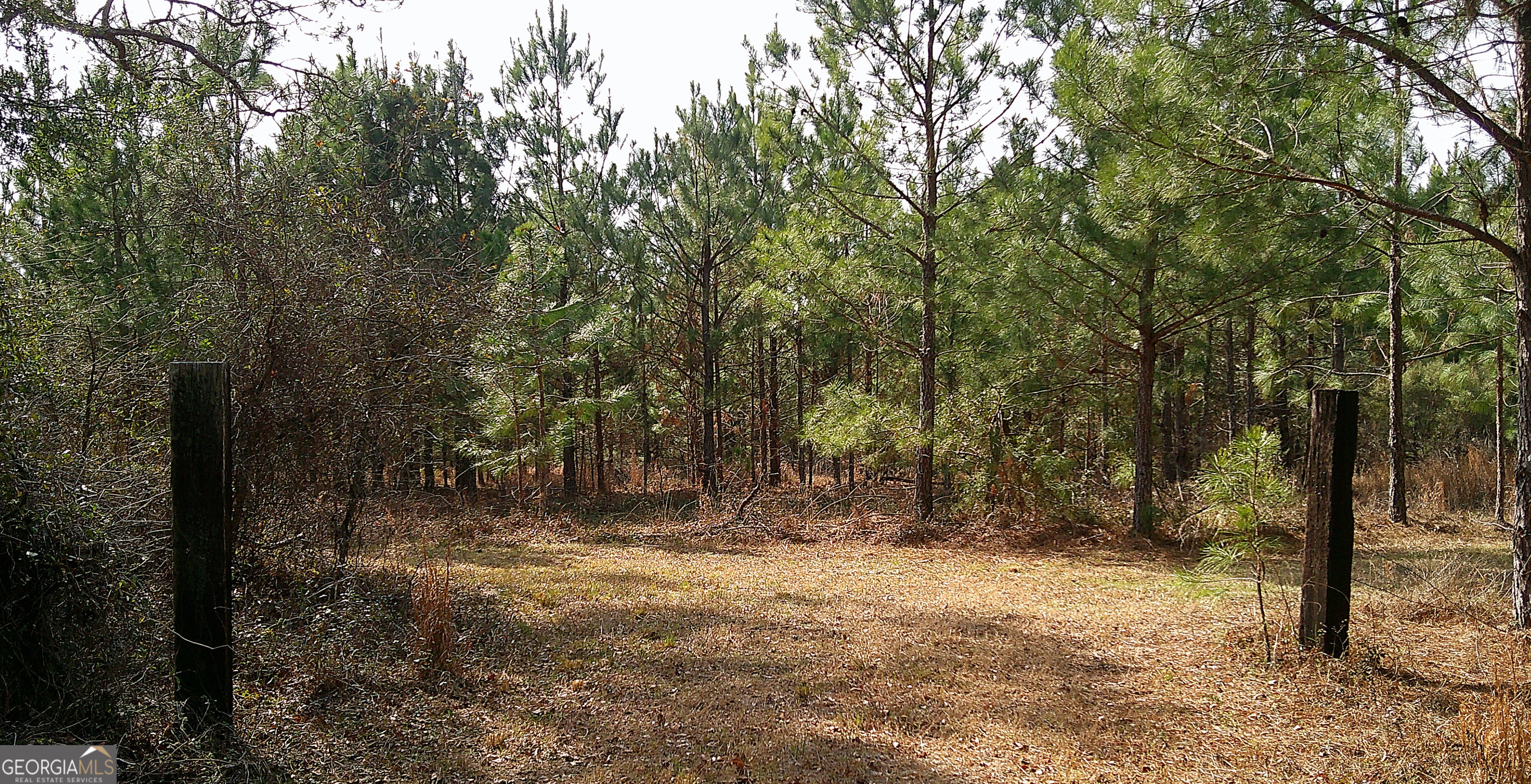 35 Barwick Kea Road Adrian, GA 31002 - Photo 60 of 73