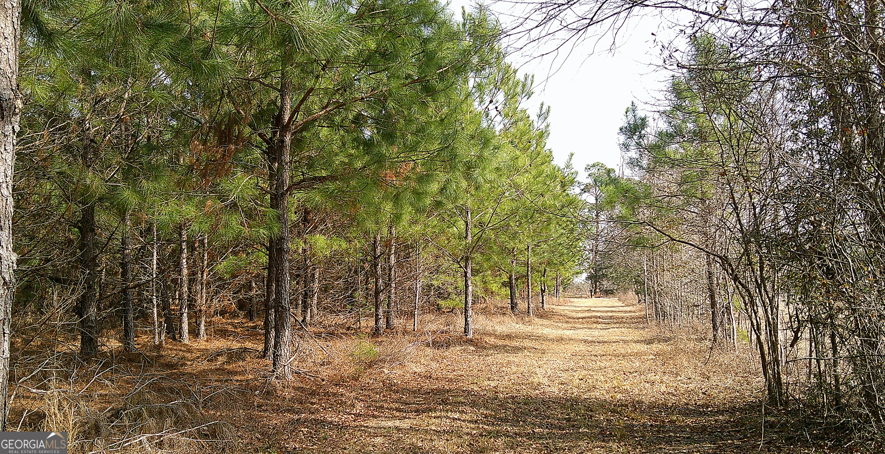 35 Barwick Kea Road Adrian, GA 31002 - Photo 61 of 73