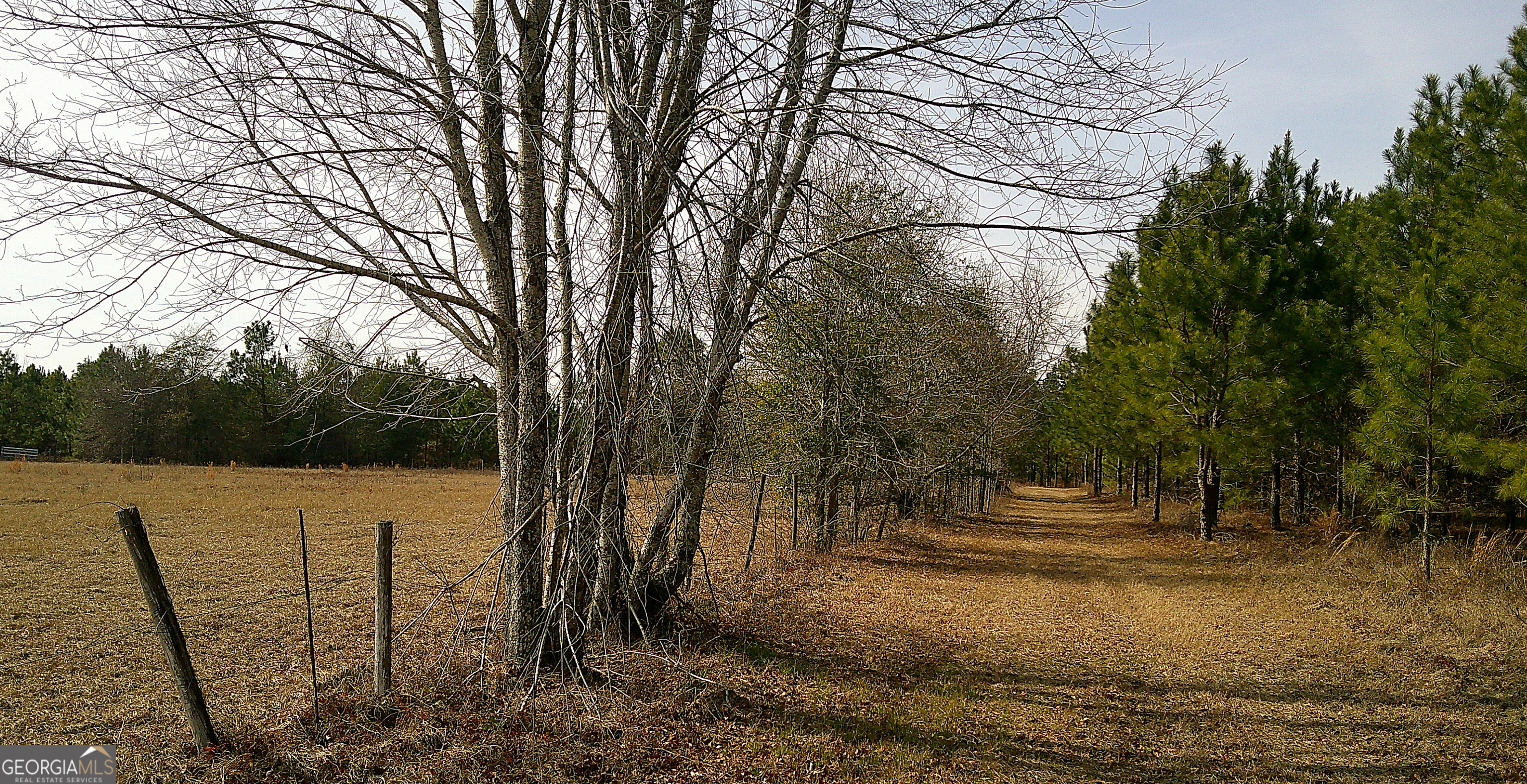 35 Barwick Kea Road Adrian, GA 31002 - Photo 62 of 73