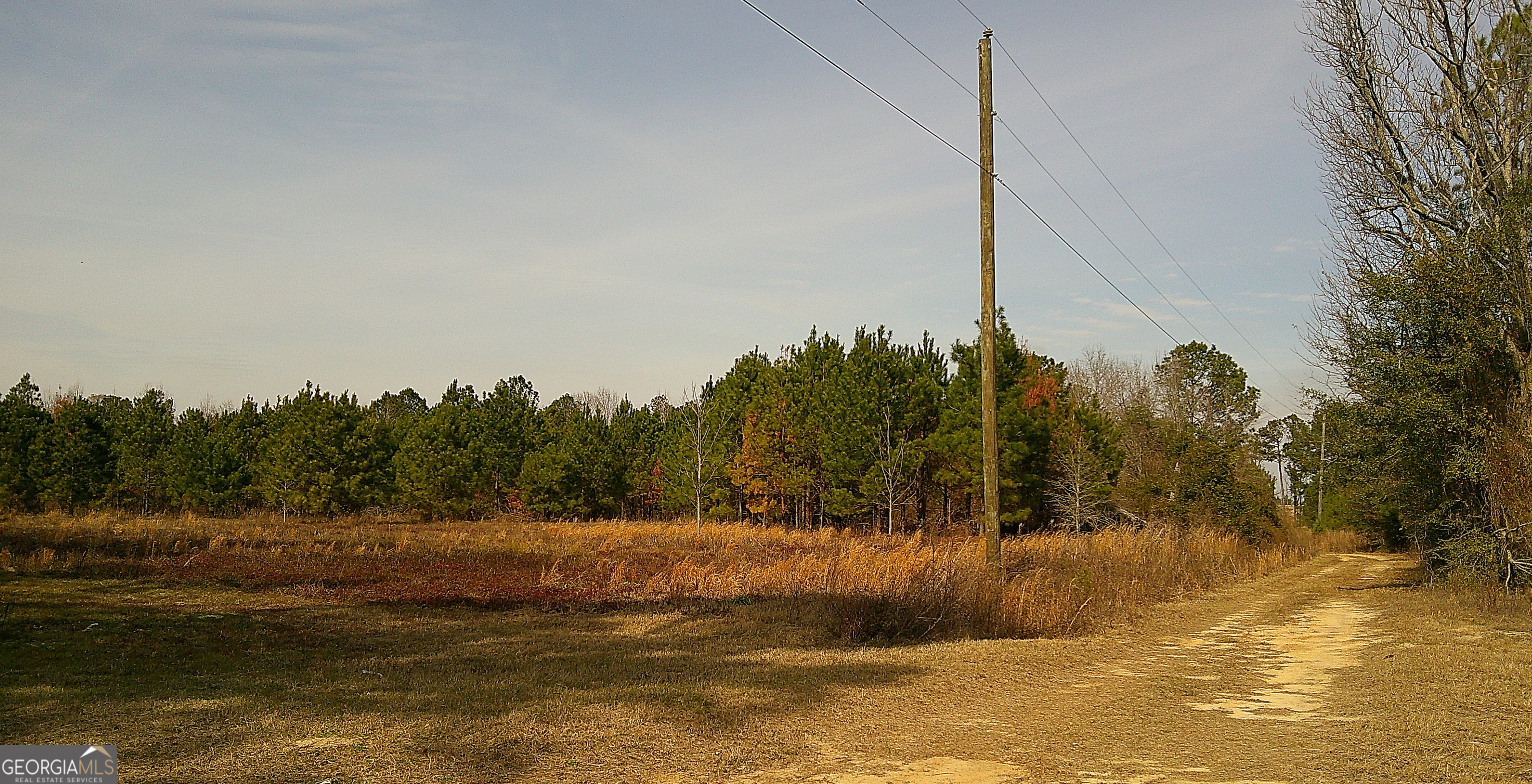 35 Barwick Kea Road Adrian, GA 31002 - Photo 65 of 73