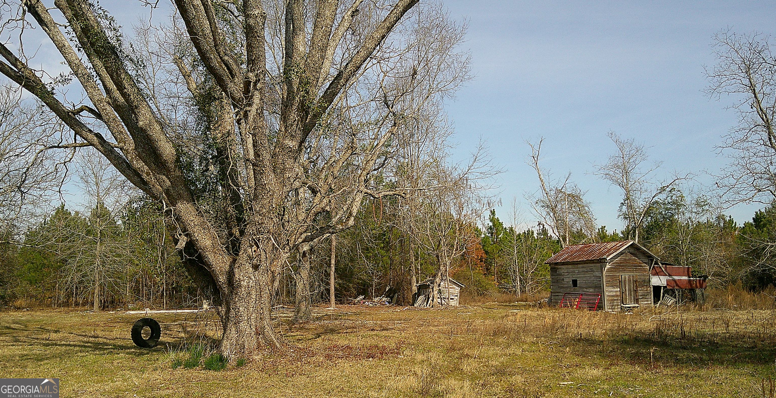 35 Barwick Kea Road Adrian, GA 31002 - Photo 66 of 73
