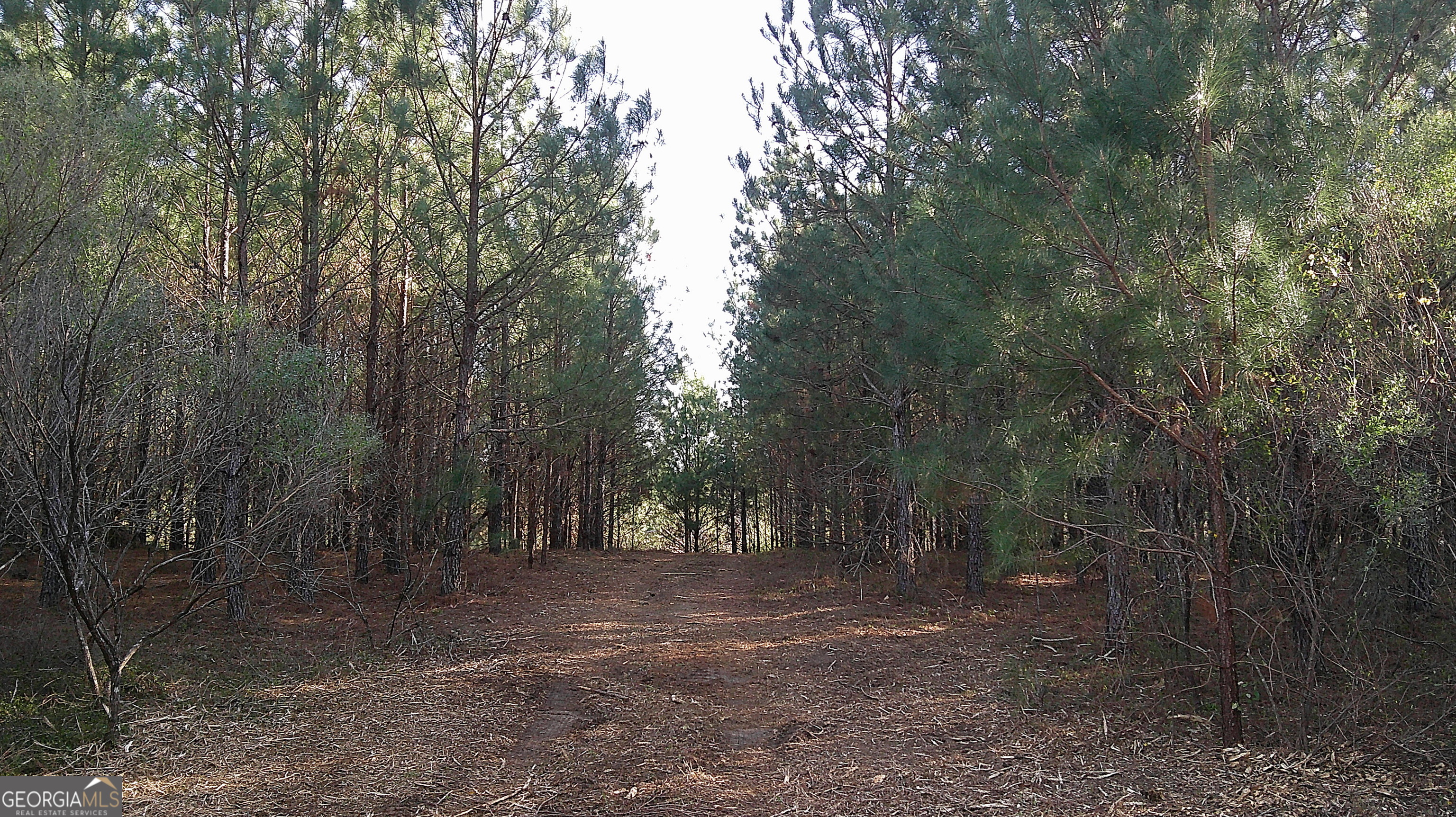 35 Barwick Kea Road Adrian, GA 31002 - Photo 67 of 73