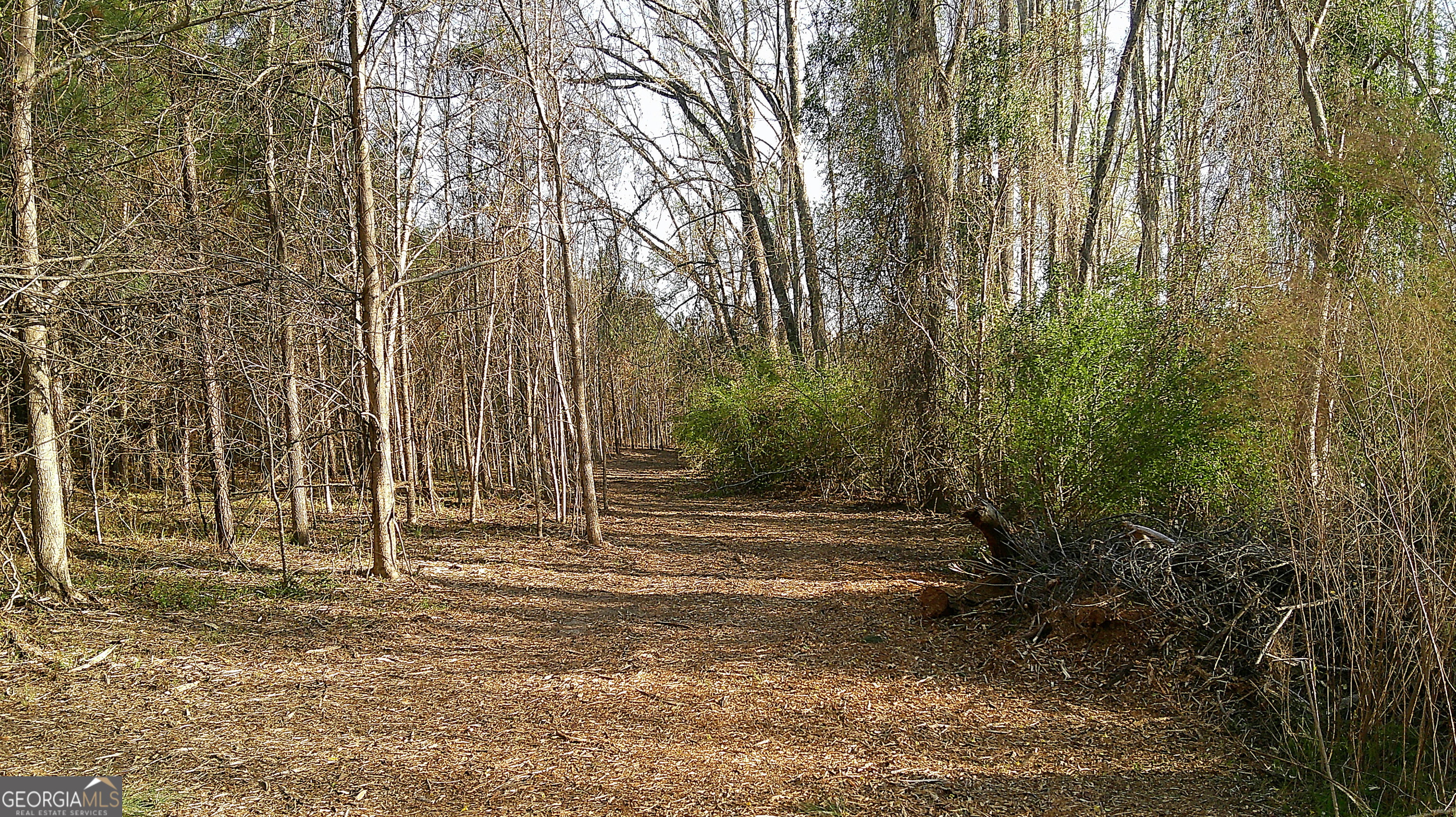 35 Barwick Kea Road Adrian, GA 31002 - Photo 68 of 73