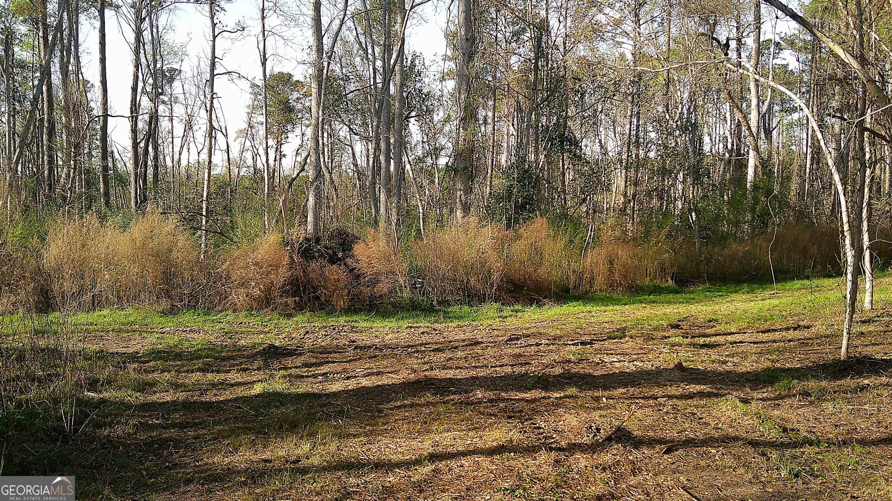 35 Barwick Kea Road Adrian, GA 31002 - Photo 69 of 73