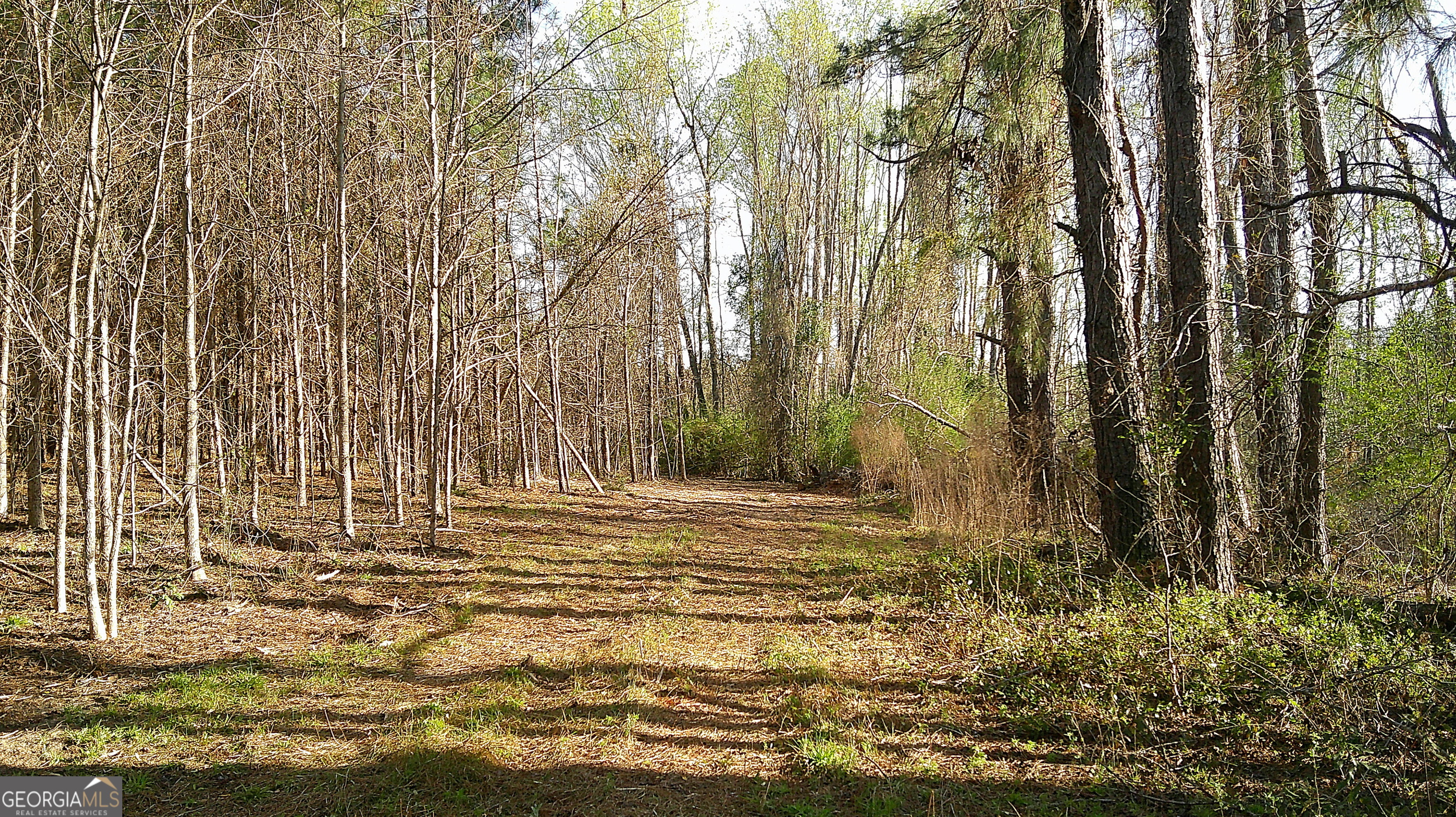 35 Barwick Kea Road Adrian, GA 31002 - Photo 70 of 73