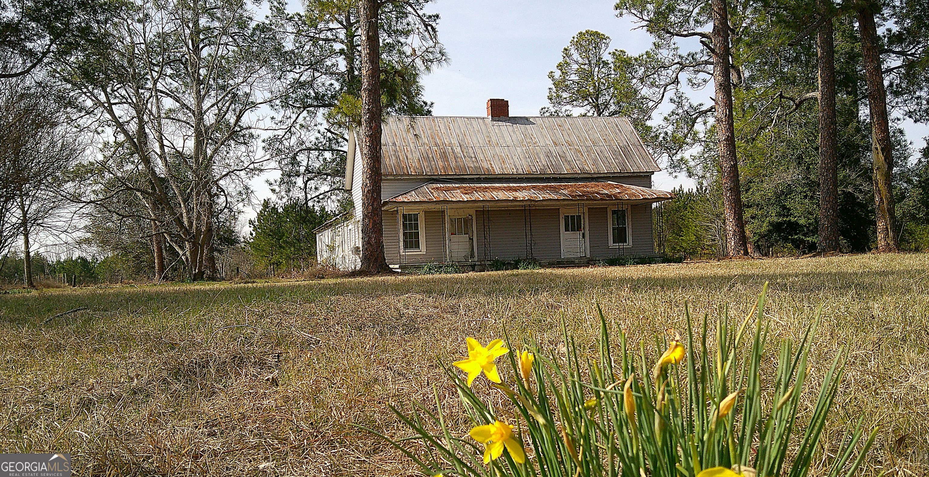 35 Barwick Kea Road Adrian, GA 31002 - Photo 7 of 73