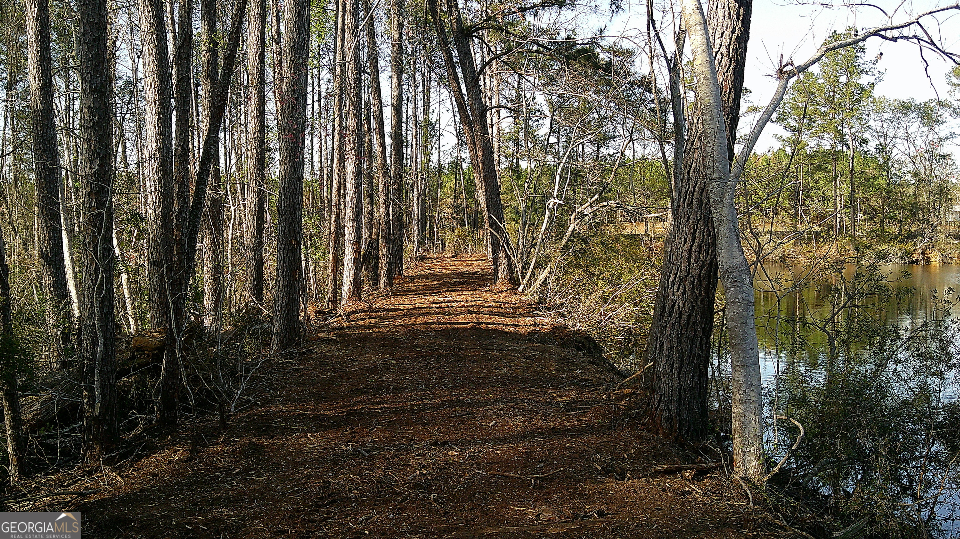 35 Barwick Kea Road Adrian, GA 31002 - Photo 71 of 73