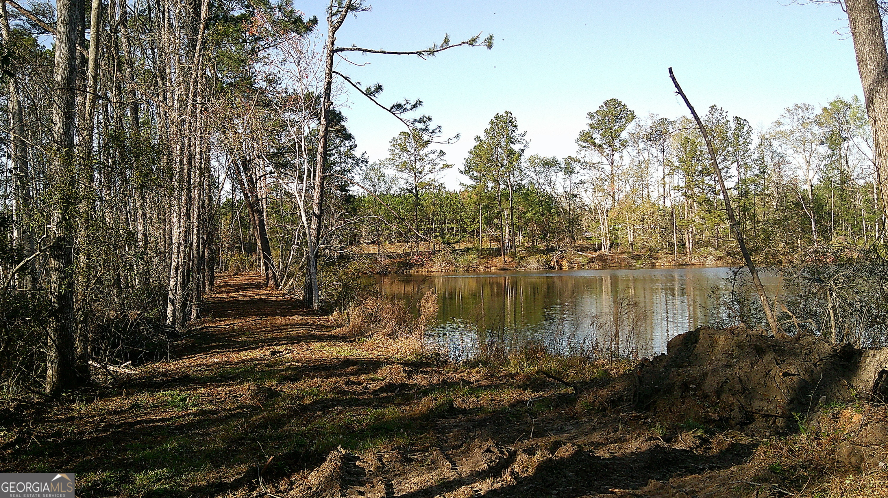 35 Barwick Kea Road Adrian, GA 31002 - Photo 72 of 73