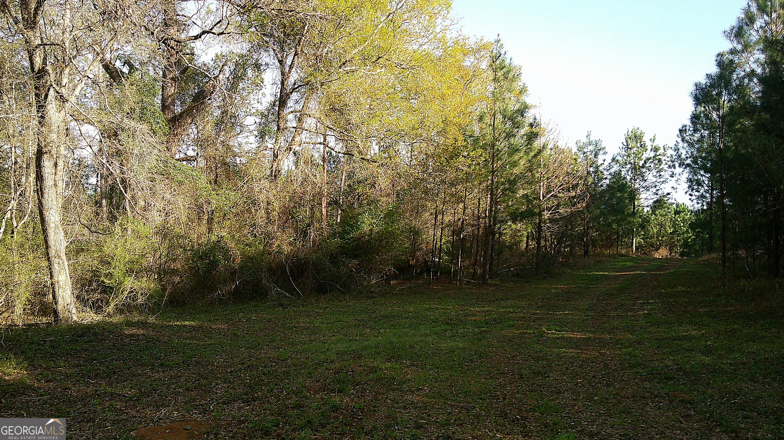 35 Barwick Kea Road Adrian, GA 31002 - Photo 73 of 73