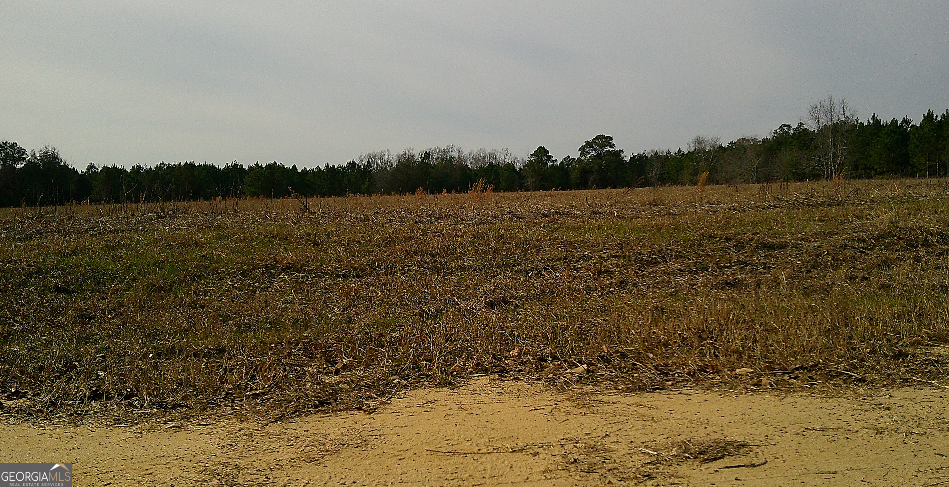 35 Barwick Kea Road Adrian, GA 31002 - Photo 9 of 73