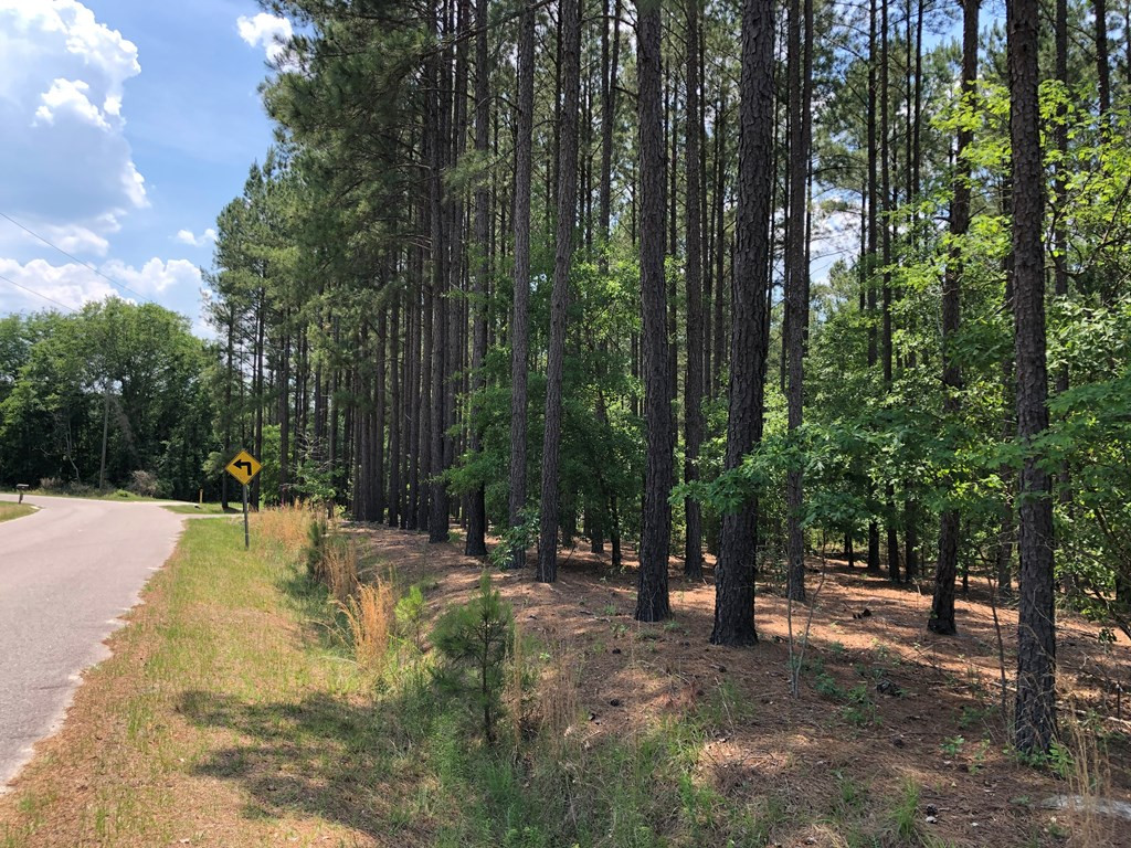 0 Peach Cider Road Batesburg, SC 29006 - Photo 2 of 4