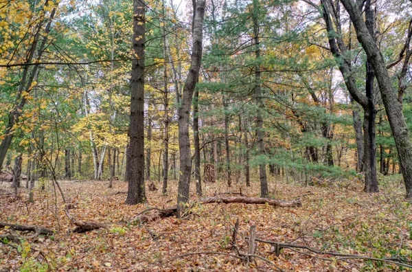 $40,000 | Tbd Tbd 241st, Stacy, MN 55079