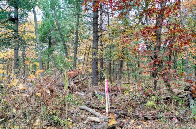 $40,000 | Tbd Tbd 241st, Stacy, MN 55079