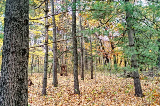 $40,000 | Tbd Tbd 241st, Stacy, MN 55079