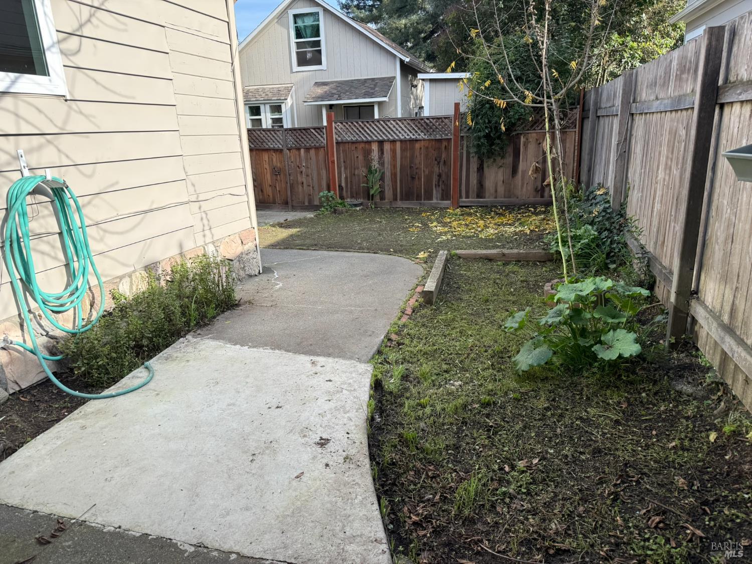930 Morgan Street, Unit 3 Santa Rosa, CA 95401 - Photo 13 of 53 a backyard of a house with lots of green space
