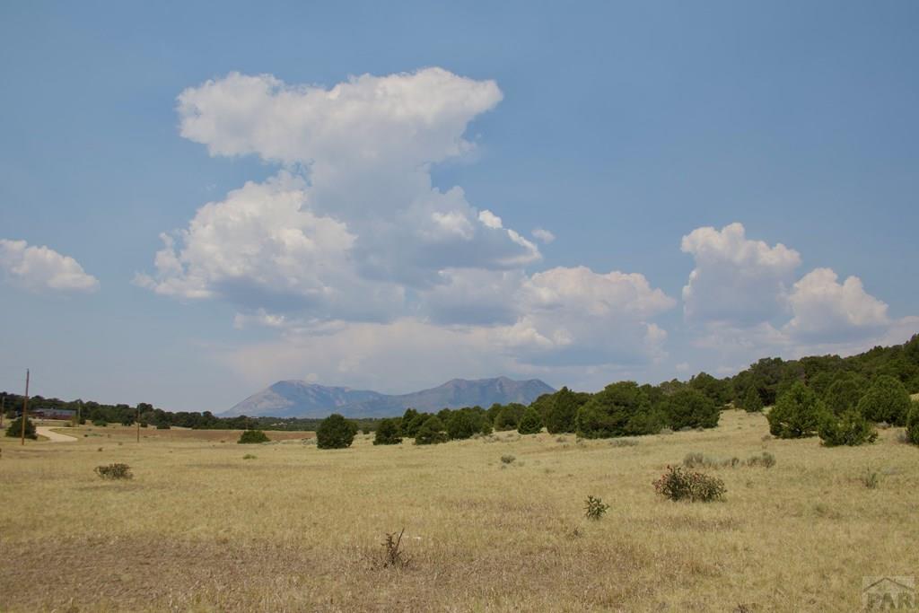 Unit #4 Unit Road Walsenburg, CO 81089 - Photo 15 of 36
