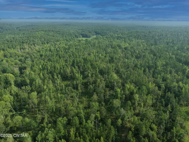 a view of a field of grass and trees