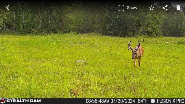 a view of residential space with swimming pool