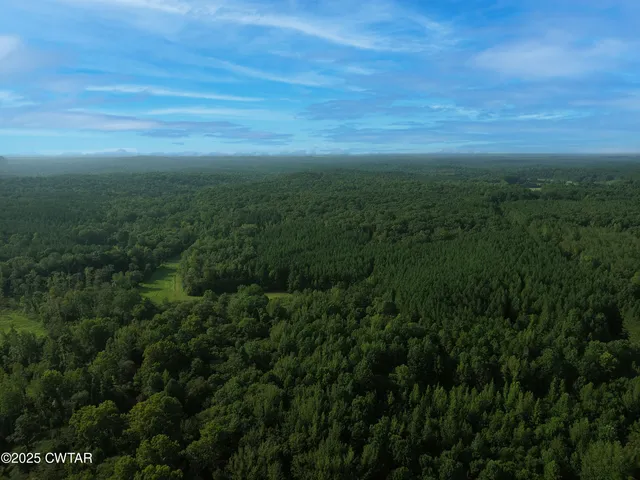 a view of a big yard with lots of bushes