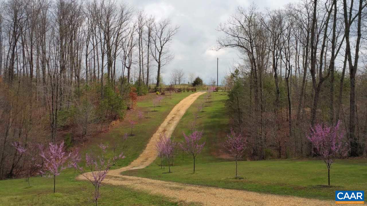 a view of a park with a tree
