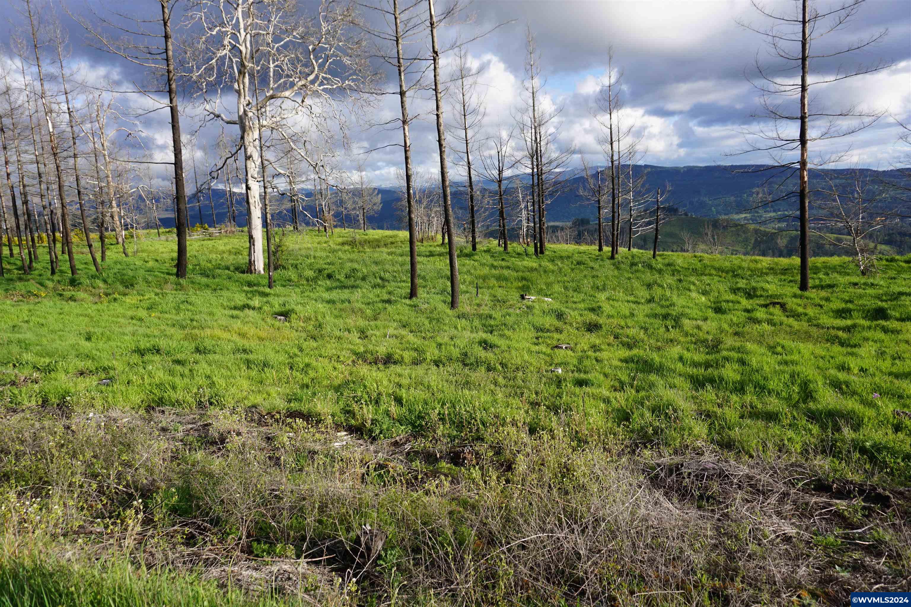 900 Wagner Road Lyons, OR 97358 - Photo 17 of 30