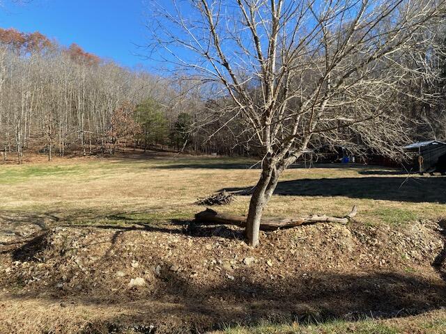 388 Kettle Creek Road Liberty, KY 42539 - Photo 31 of 71 IMG_9956