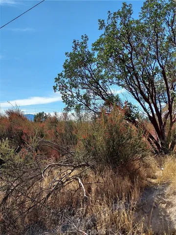a view of mountain view with lots of trees