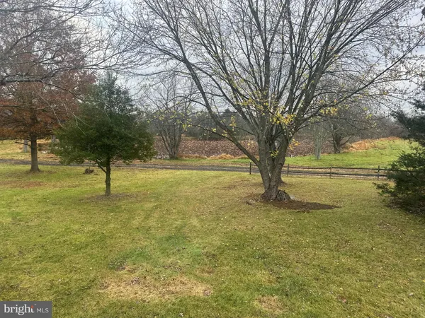 a view of a yard with a tree